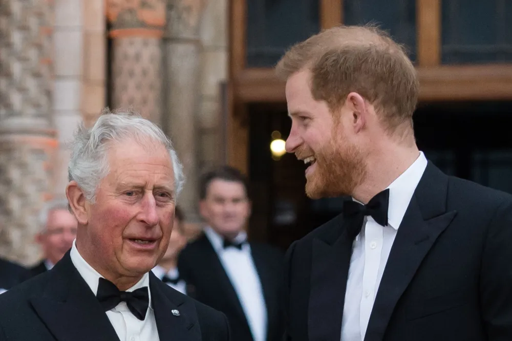 King Charles and Prince Harry's reconciliation timeline - Newsweek