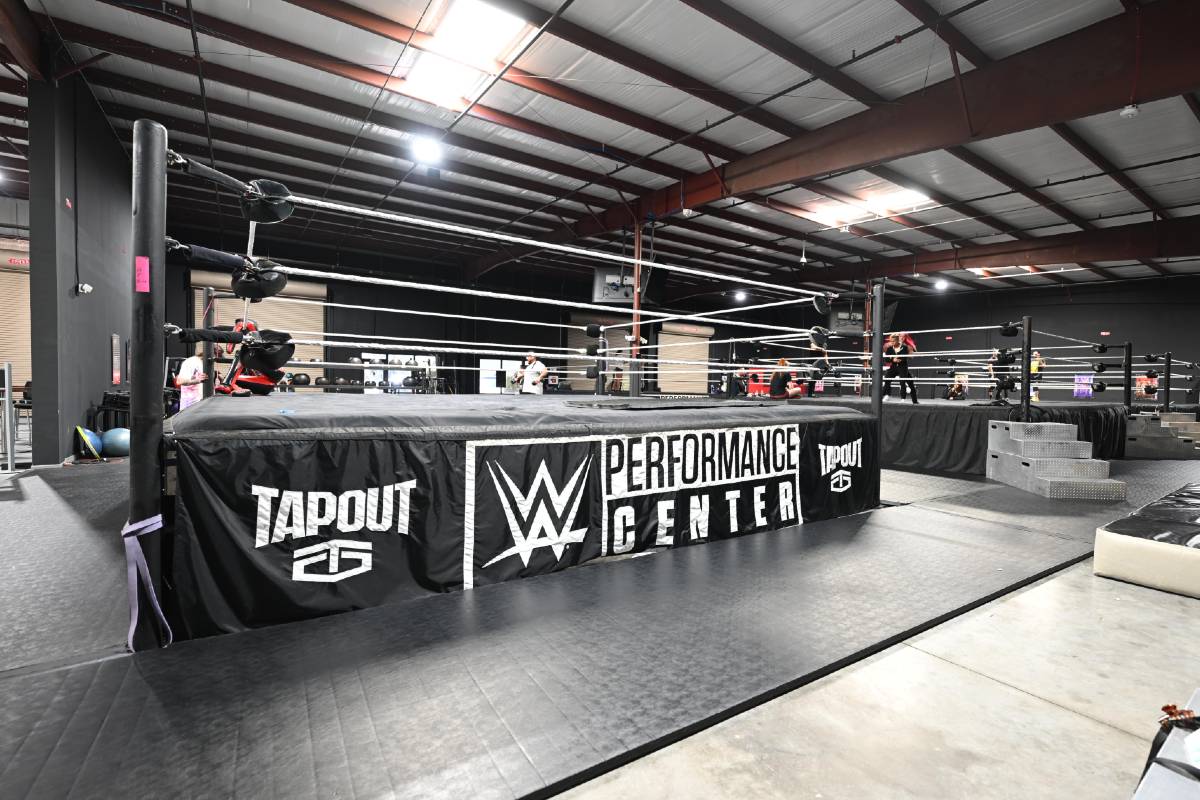 WWE and AEW Interested in Son of Former ECW Champion: Report