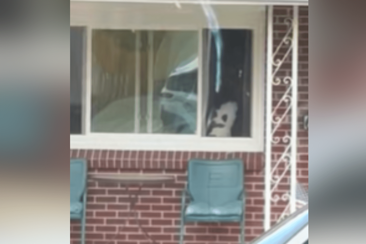 Woman Thinks It’s a ‘Spooky’ Decoration in Neighbor’s Window—Then It Moves
