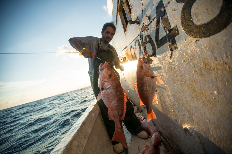 Forget the Guilt&mdash;Eating Seafood Can Help Save the Ocean .. Opinion
