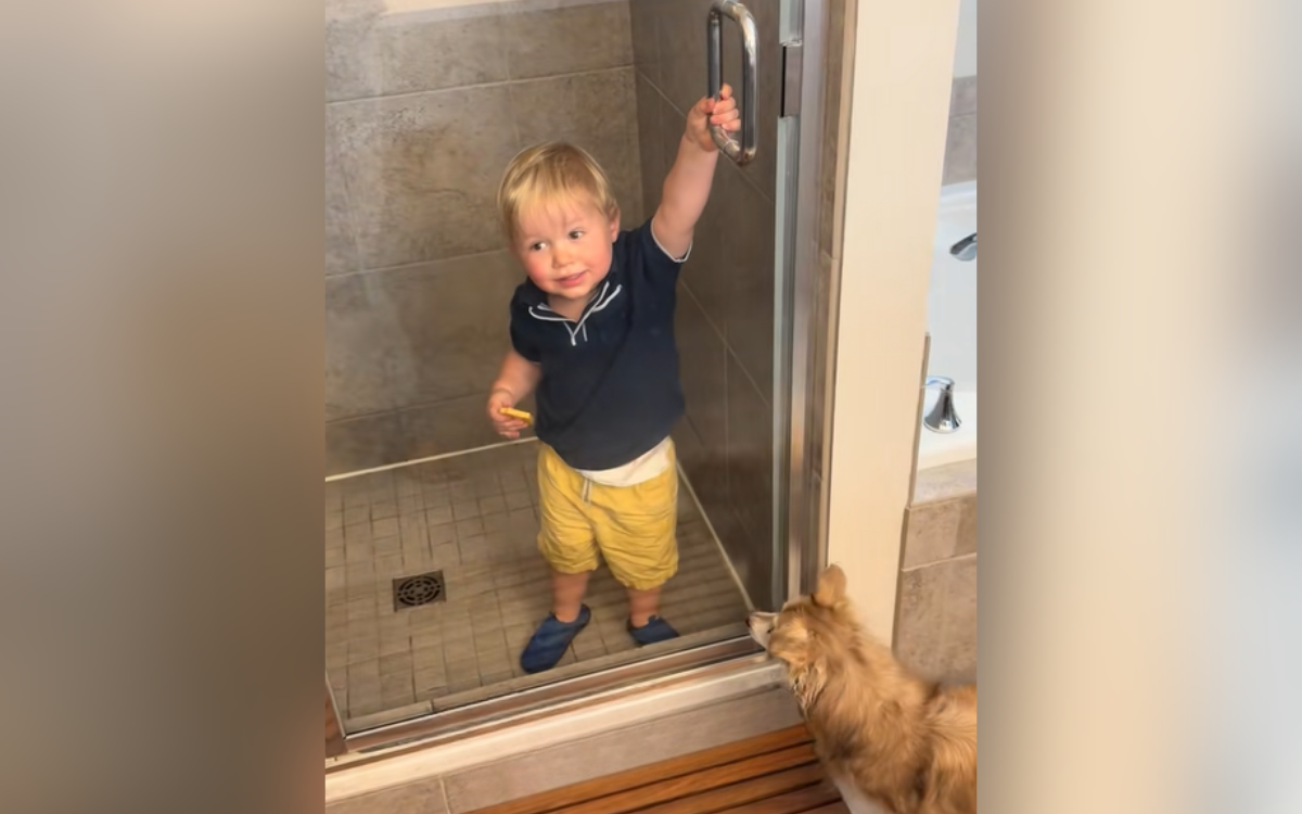 Laughter at Why Toddler Gets in Shower Anytime His Mom Gives Him a Snack
