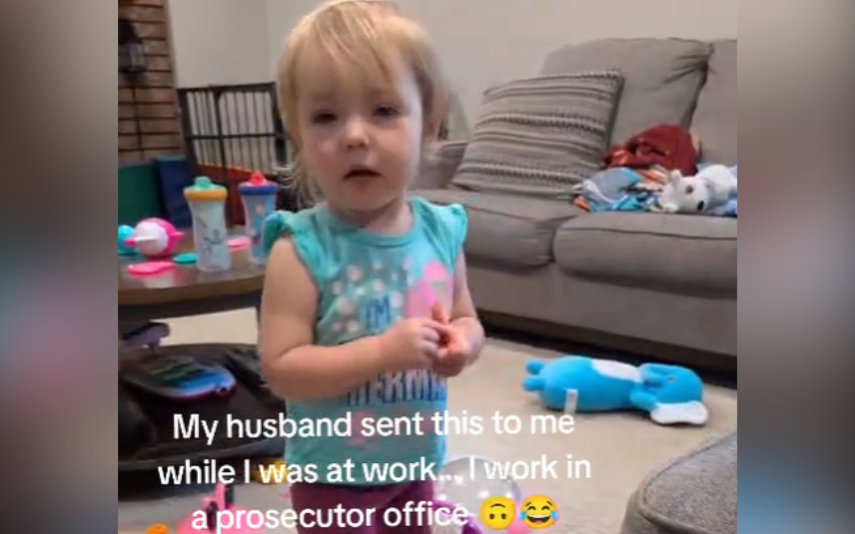 Mom Who Works As Prosecutor Can’t Believe What Toddler Is Caught Doing