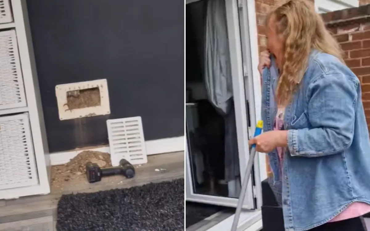 Woman Hears Something ‘Rustling’ in Wall, Not Prepared for What It Is