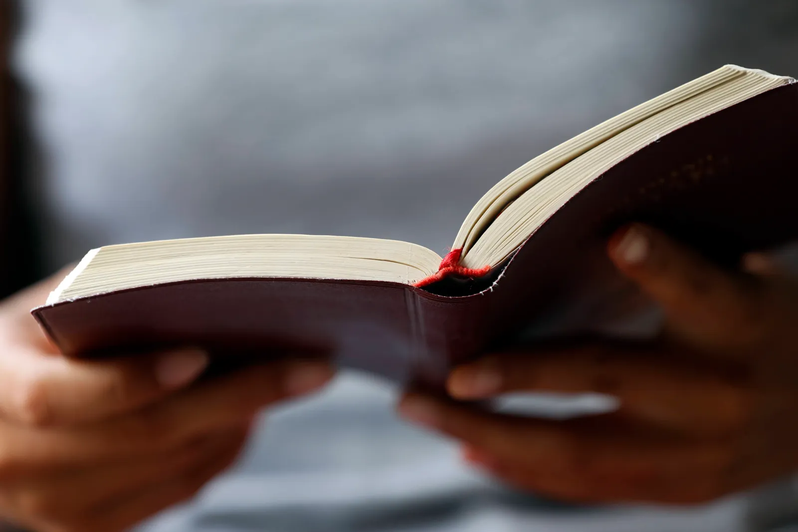 Bishops Unveil Revolutionary Catholic American Bible
