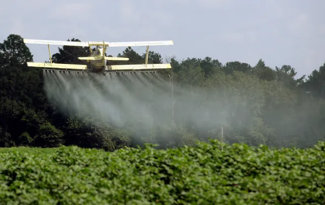 A crop duster sprays a field in Alabama in 2009.