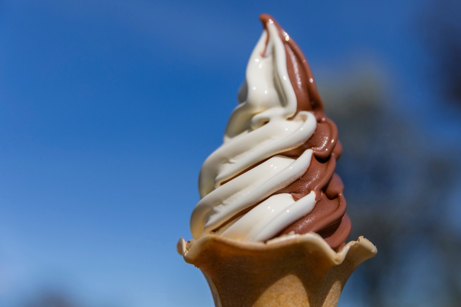 newsweek.com - Hugh Cameron - Dairy Queen rival files for bankruptcy