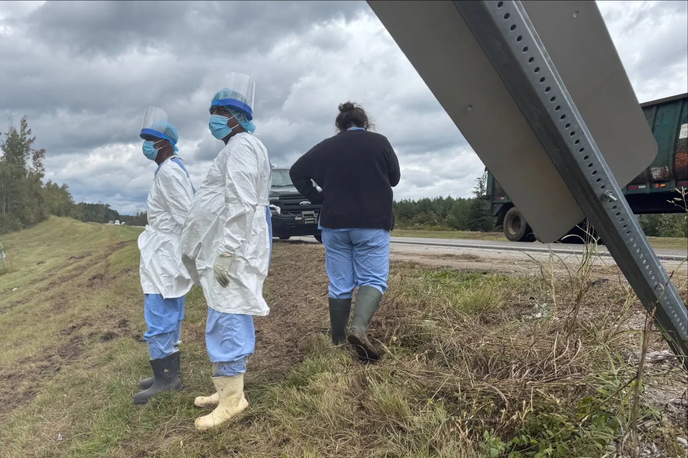 Mississippi Woman Shoots Escaped Research Monkey to Protect Kids - Newsweek