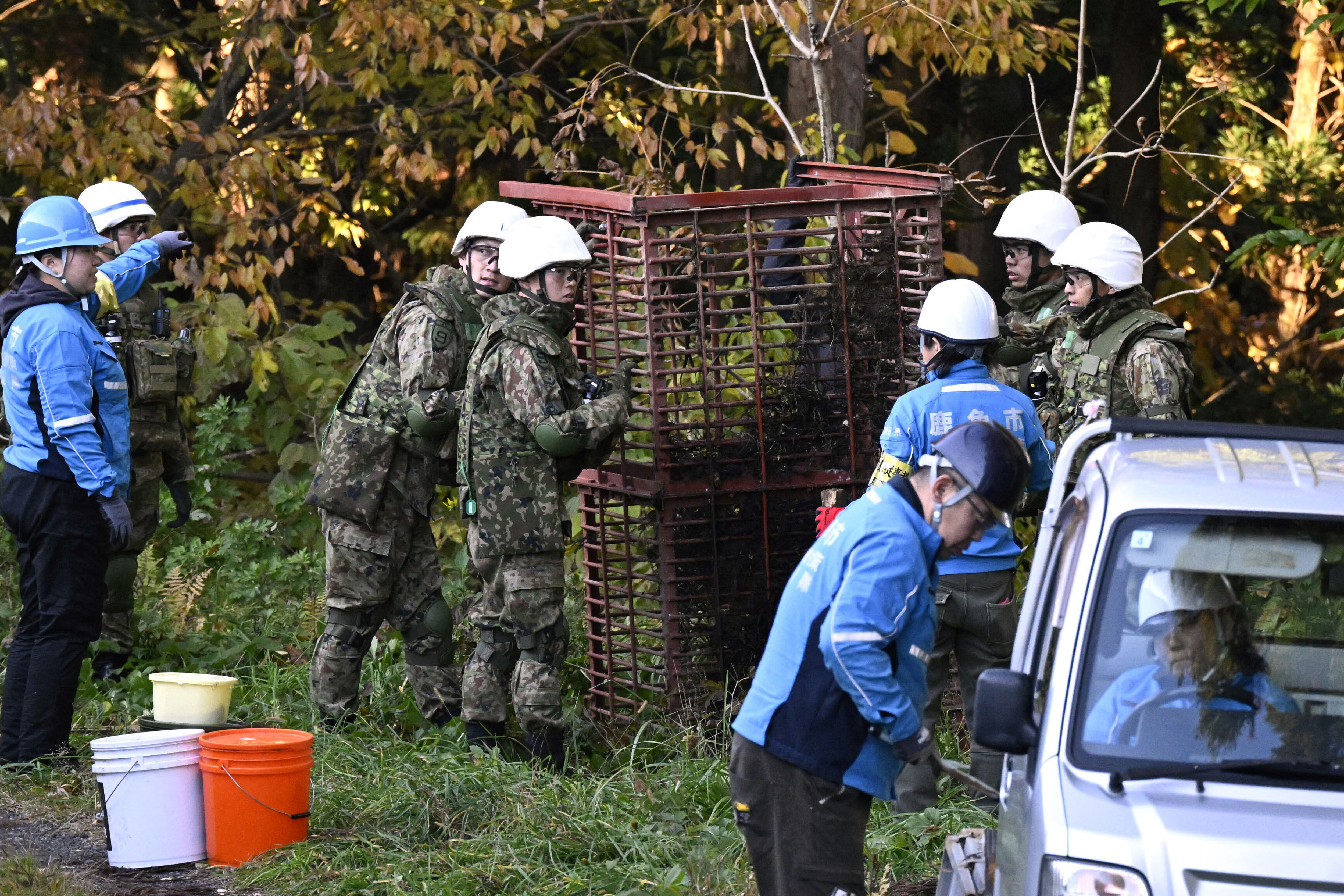 Riot Police To Be Set on Bears Amid Spate of Attacks