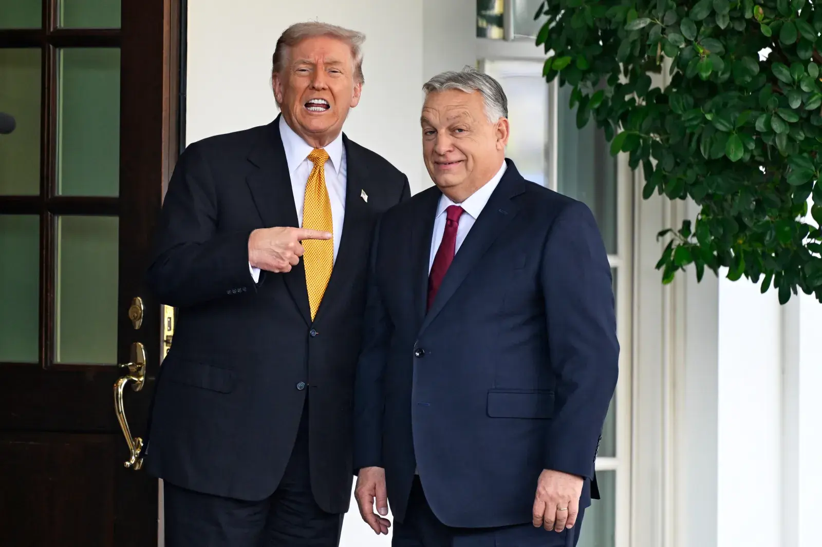 Jinsiy aloqa va sterpis Hojatxonada suratga olingan