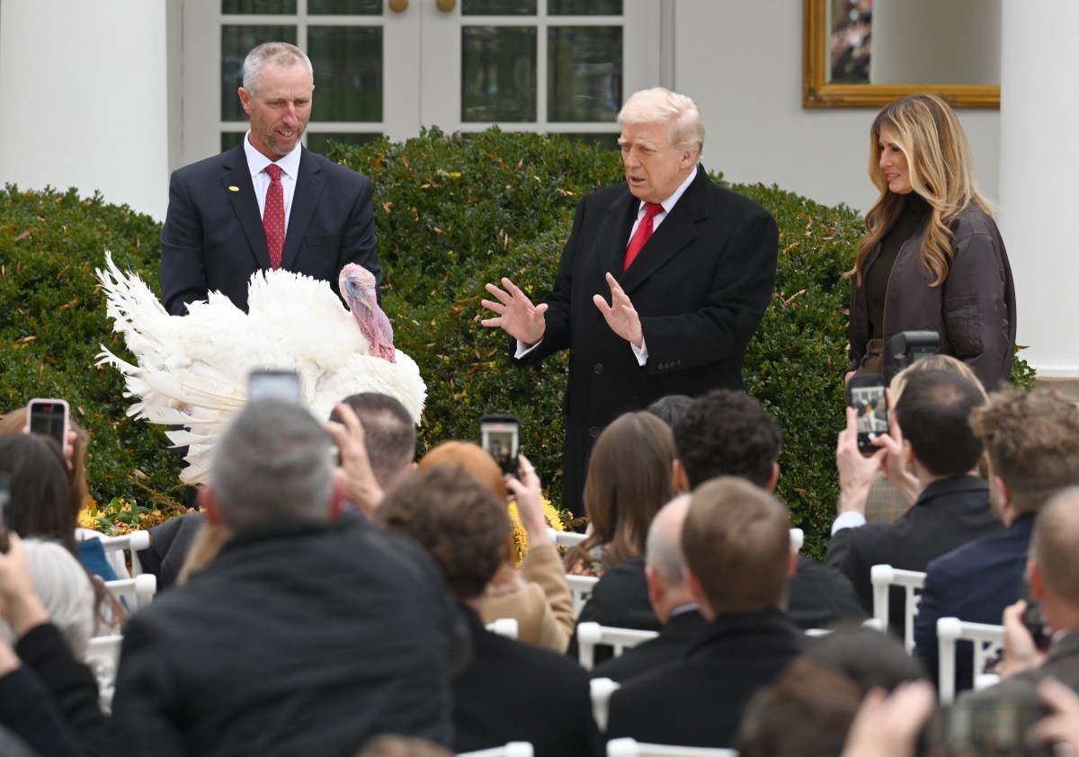 Trump's Thanksgiving Message: Unity and Reflection