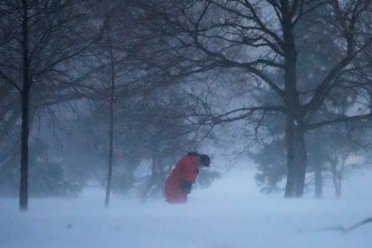 Thousands of Flights Delayed, Hundreds Canceled as Winter Storm Lashes ...