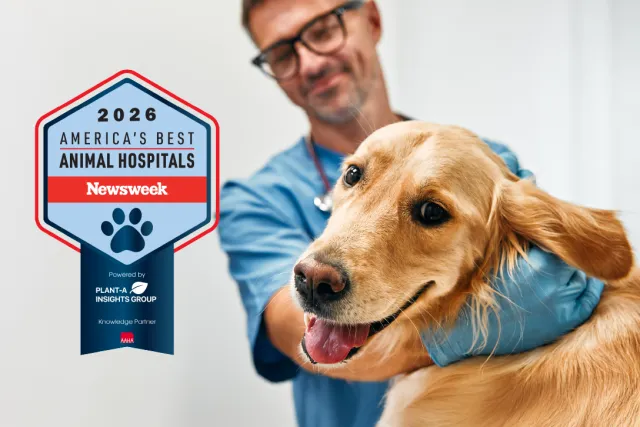 America’s Best Animal Hospitals 2026