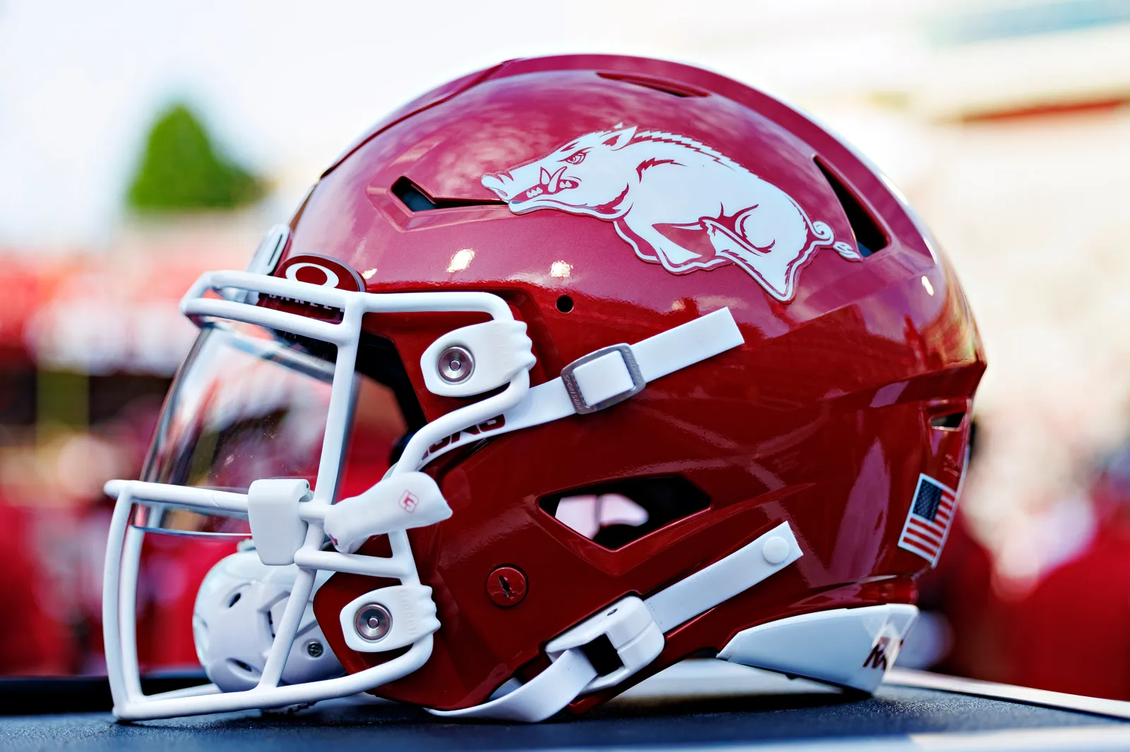 Arkansas Razorbacks