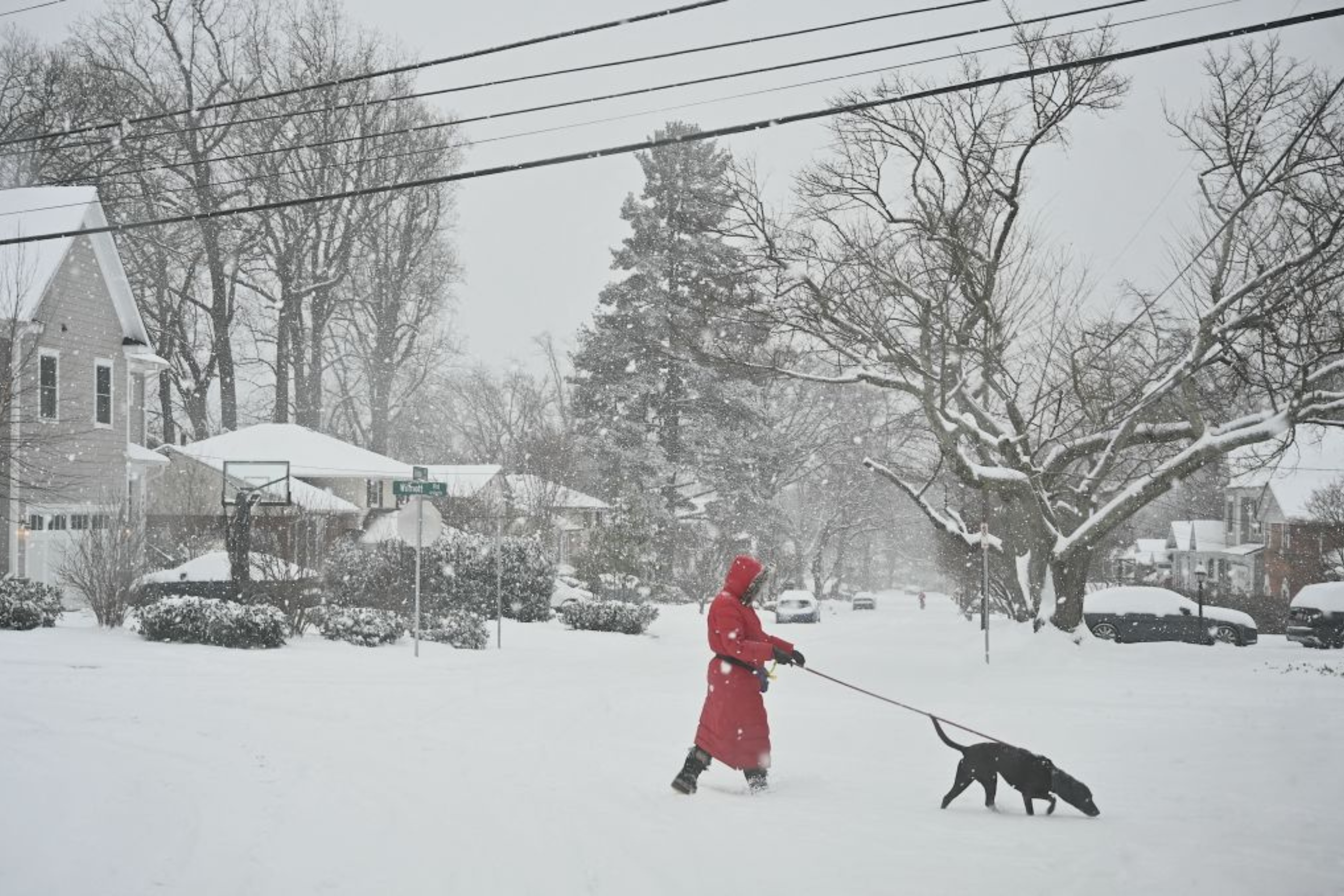 Chicago Gets First November Winter Weather Warning in 7 Years