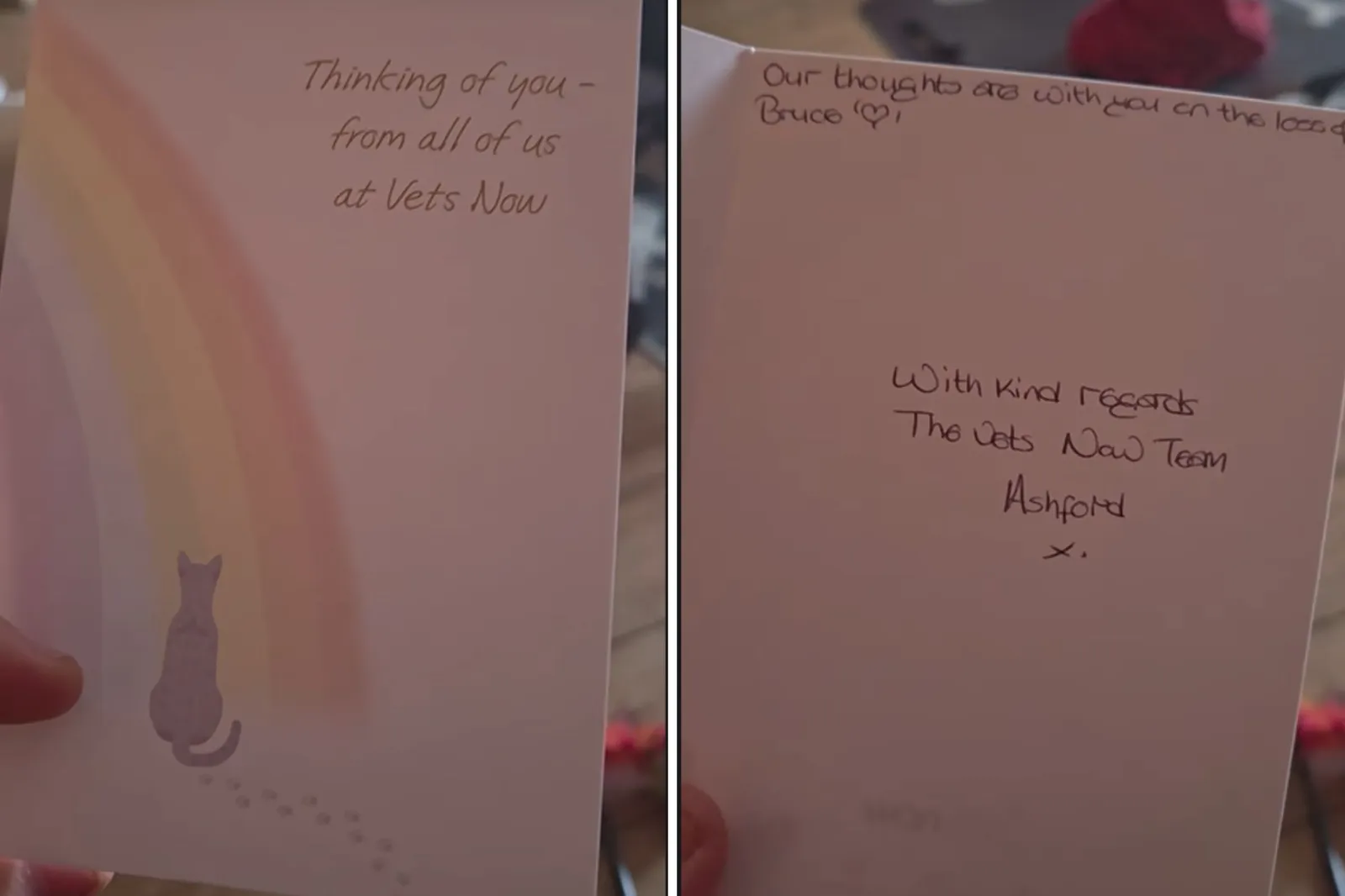 Cat’s Reaction to Vet’s Sympathy Card Has Internet in Stitches