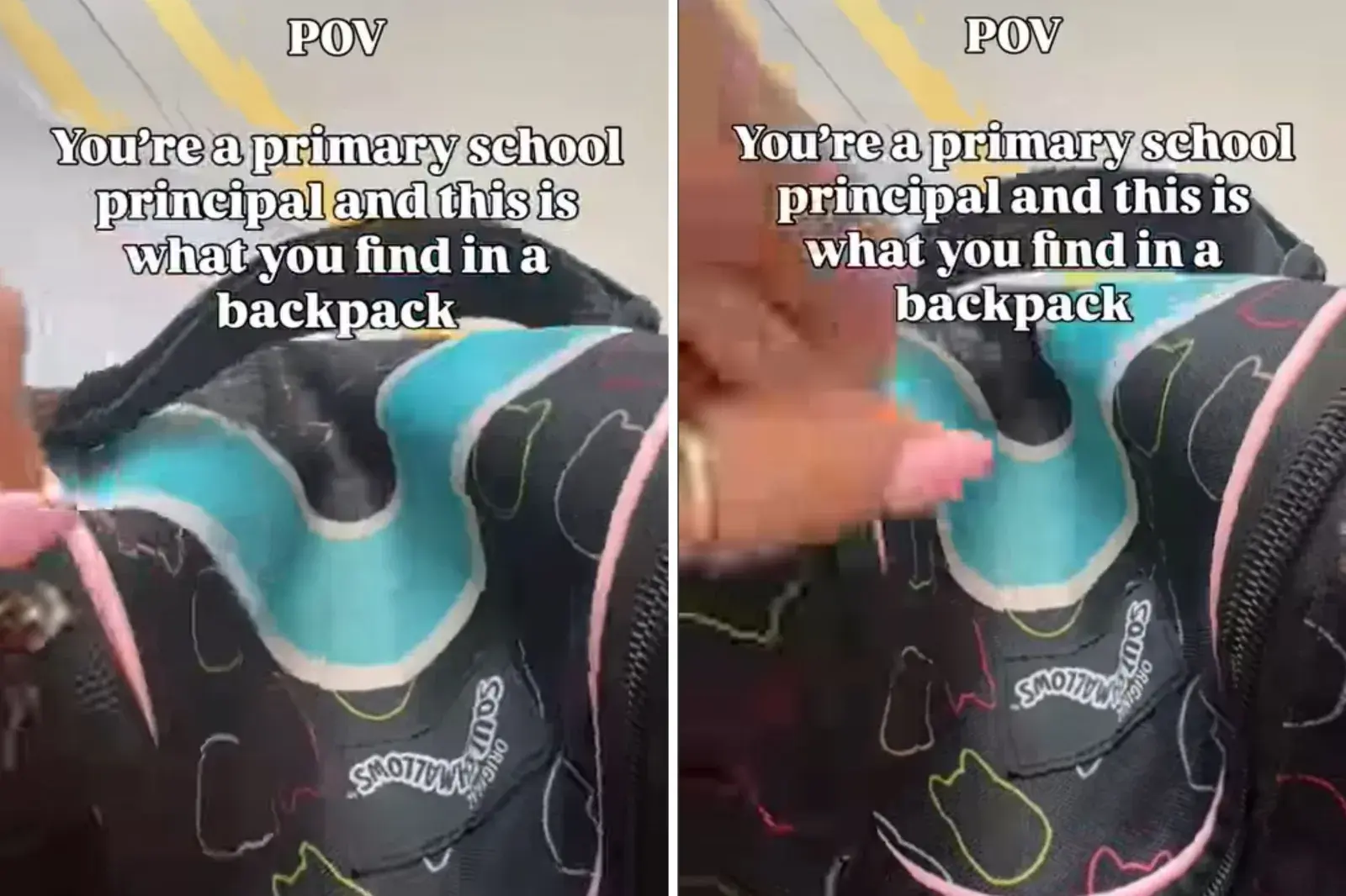Principal Uncovers Adorable Surprise: Two Kittens in a Backpack