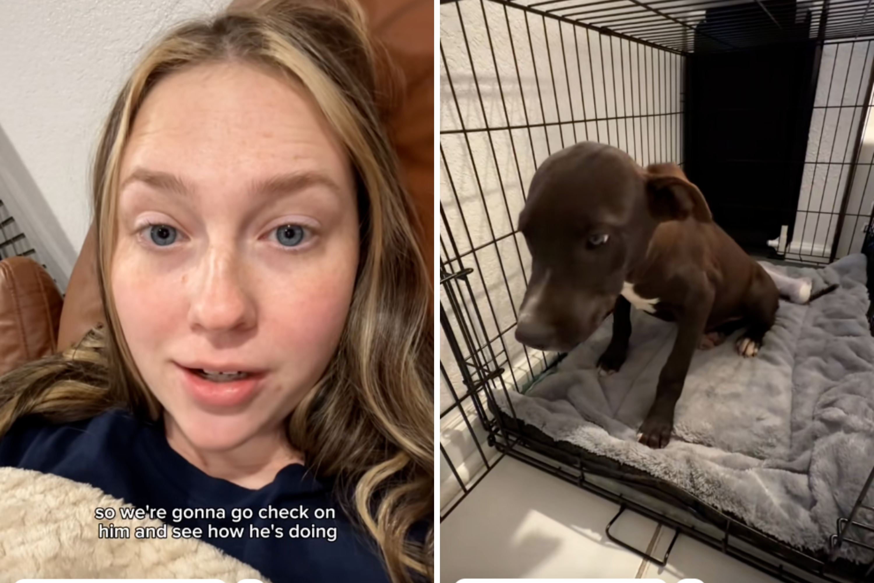 Tears at Face of Foster Dog Sleeping Inside a House for the First Time