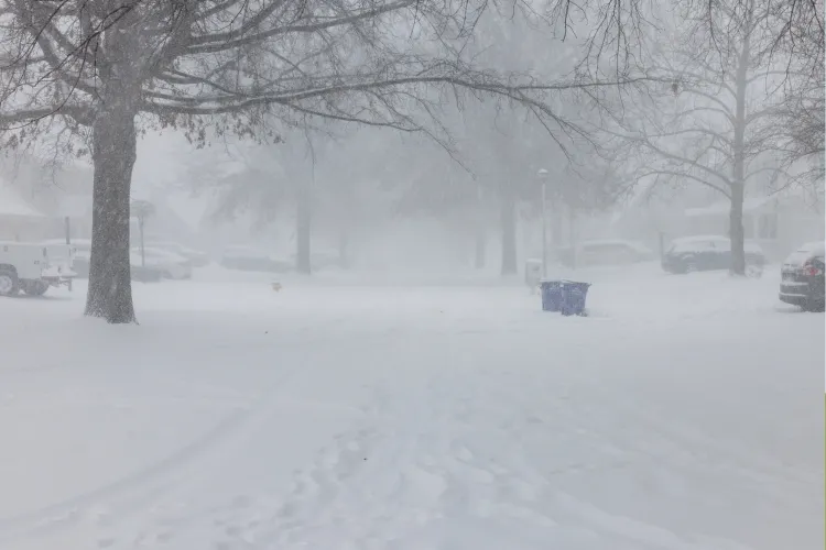 Winter Storm Warning as 8 Inches of Snow to Hit North and Midwest ...