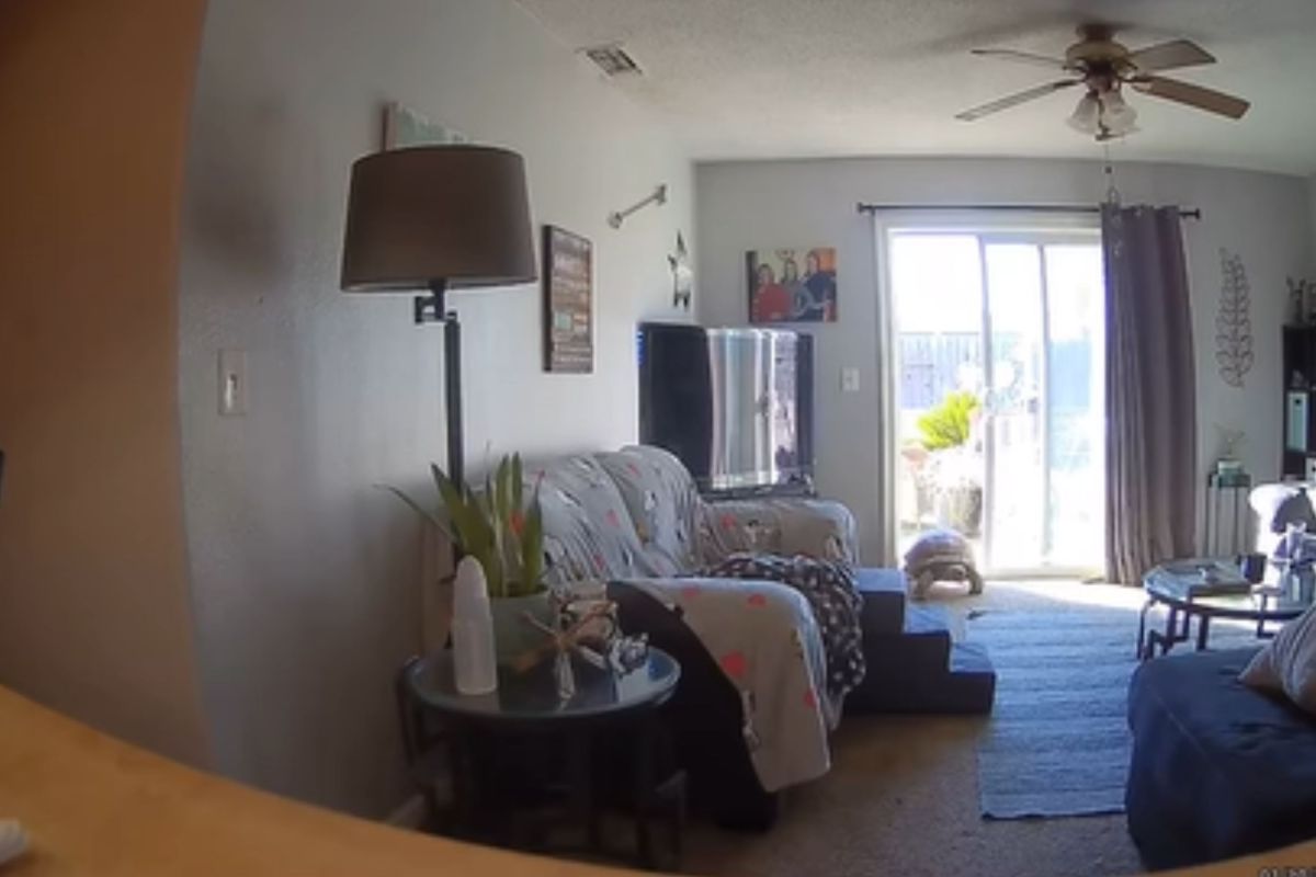 Contractors Enter Home—Camera Captures Their Shock at What’s Waiting Inside Contractors Enter Home—Camera Captures Their Shock at What’s Waiting Inside