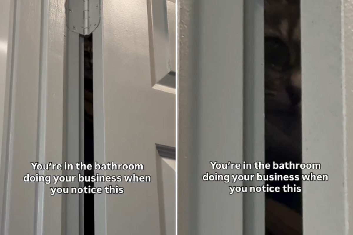 Woman Uses the Bathroom, Then She Notices Pair of Eyes Staring at Her