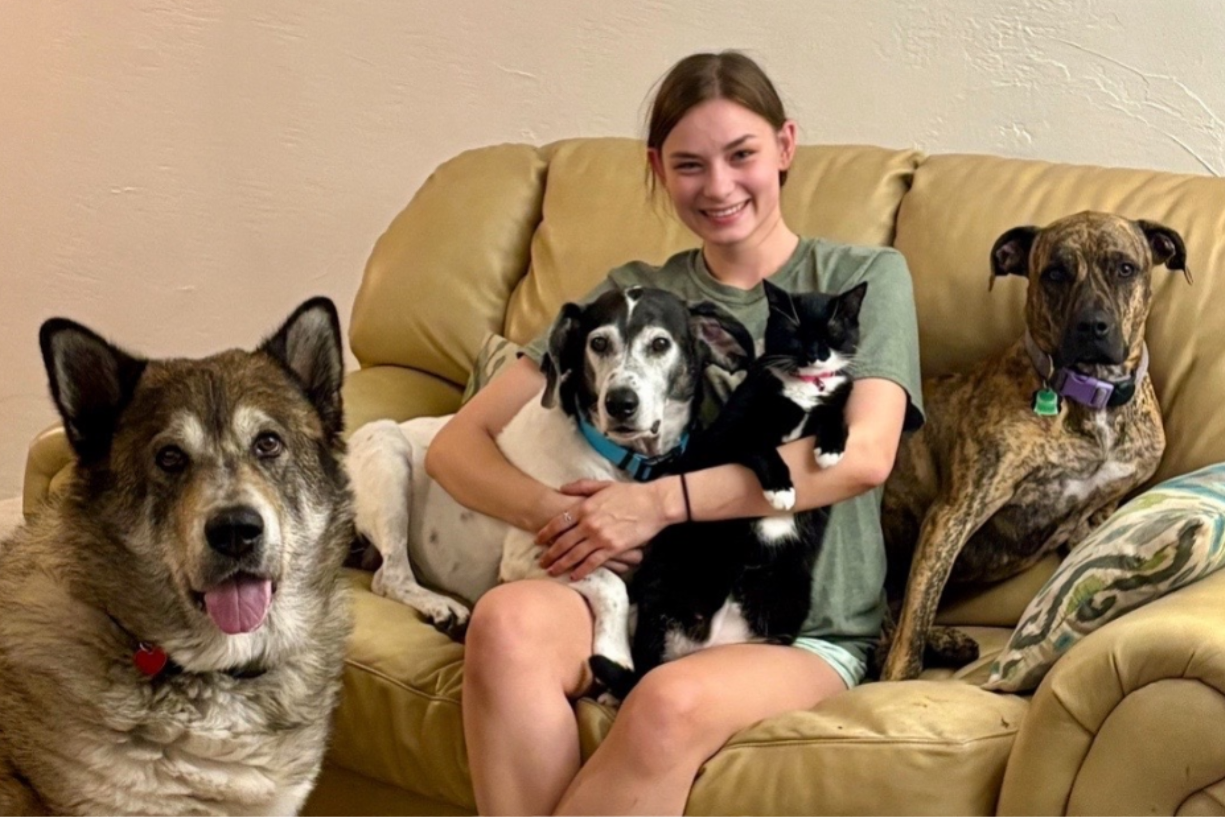 Woman Always Dreamt of Owning a Pet—Who She Ends Up Rescuing Goes Viral