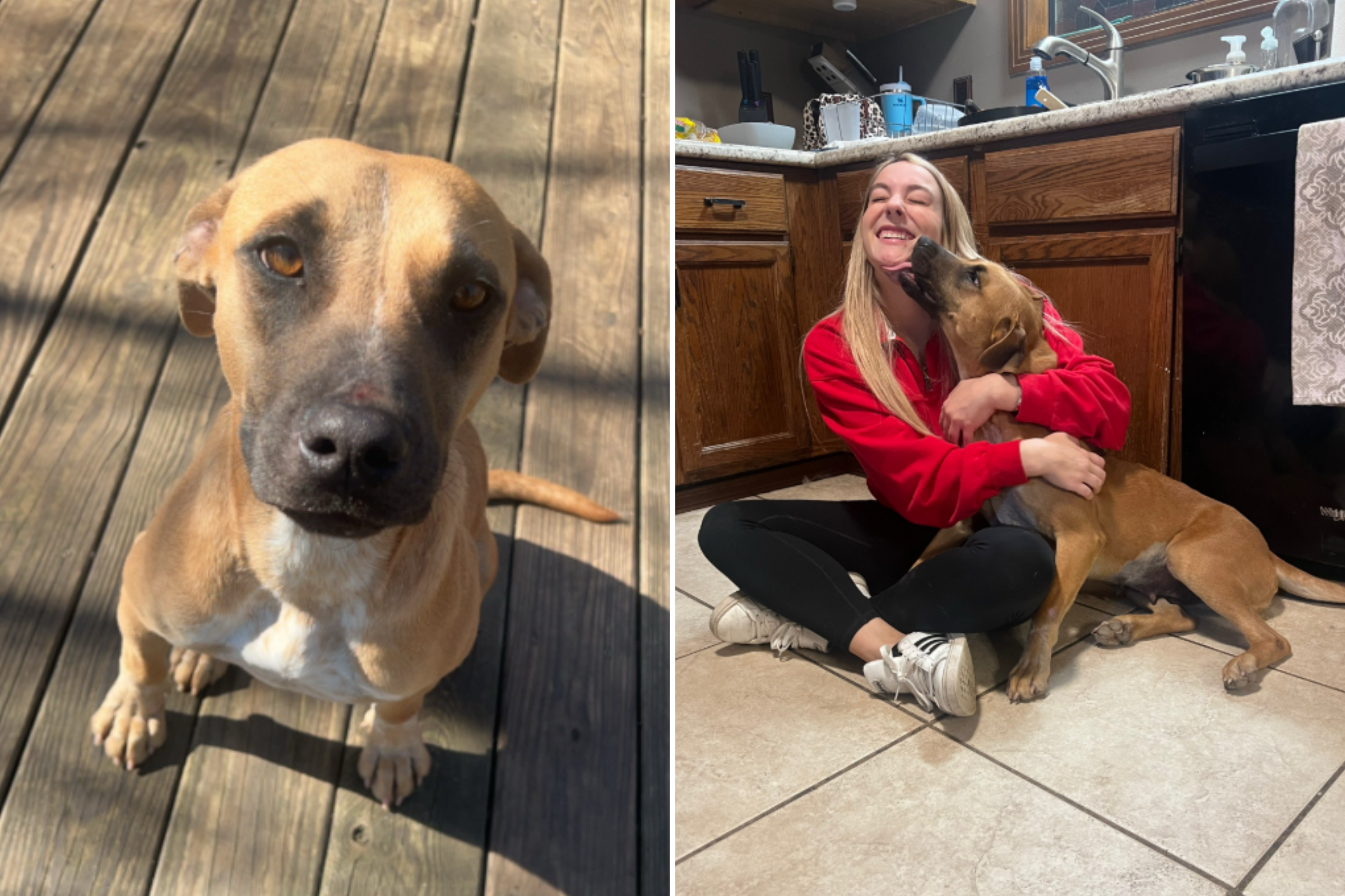 Shelter Dog Was Just Days Away From Euthanasia—but Then Everything Changed