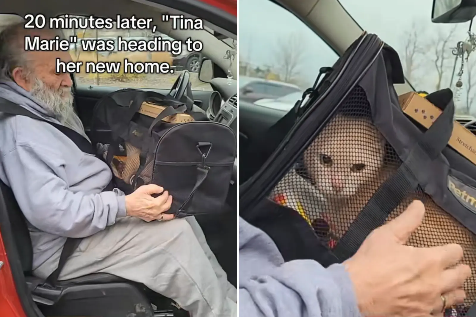 Lonely Grandad Adopts Shelter’s Longest Resident, Viewers Can’t Cope