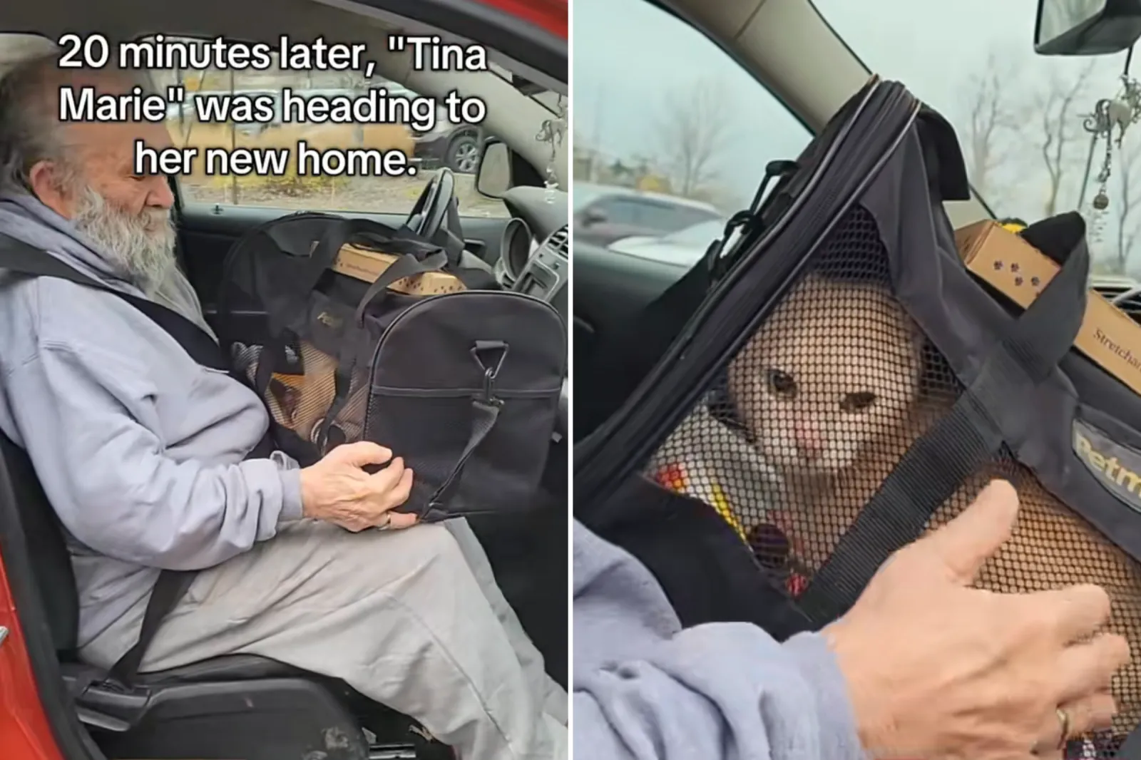 Lonely Grandad Adopts Shelter’s Longest Resident, Viewers Can’t Cope