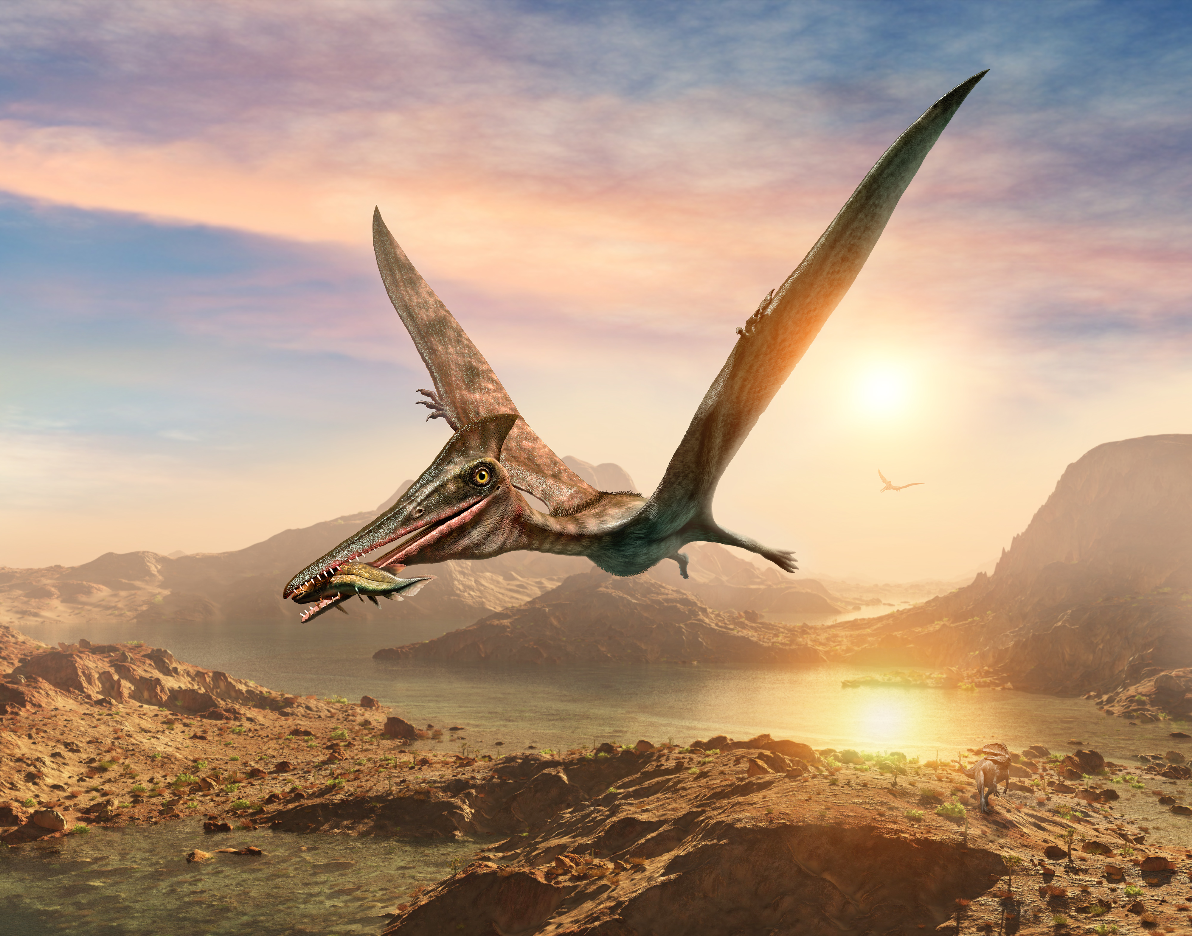 New Species of Flying Reptile Discovered in Overlooked Museum Fossil