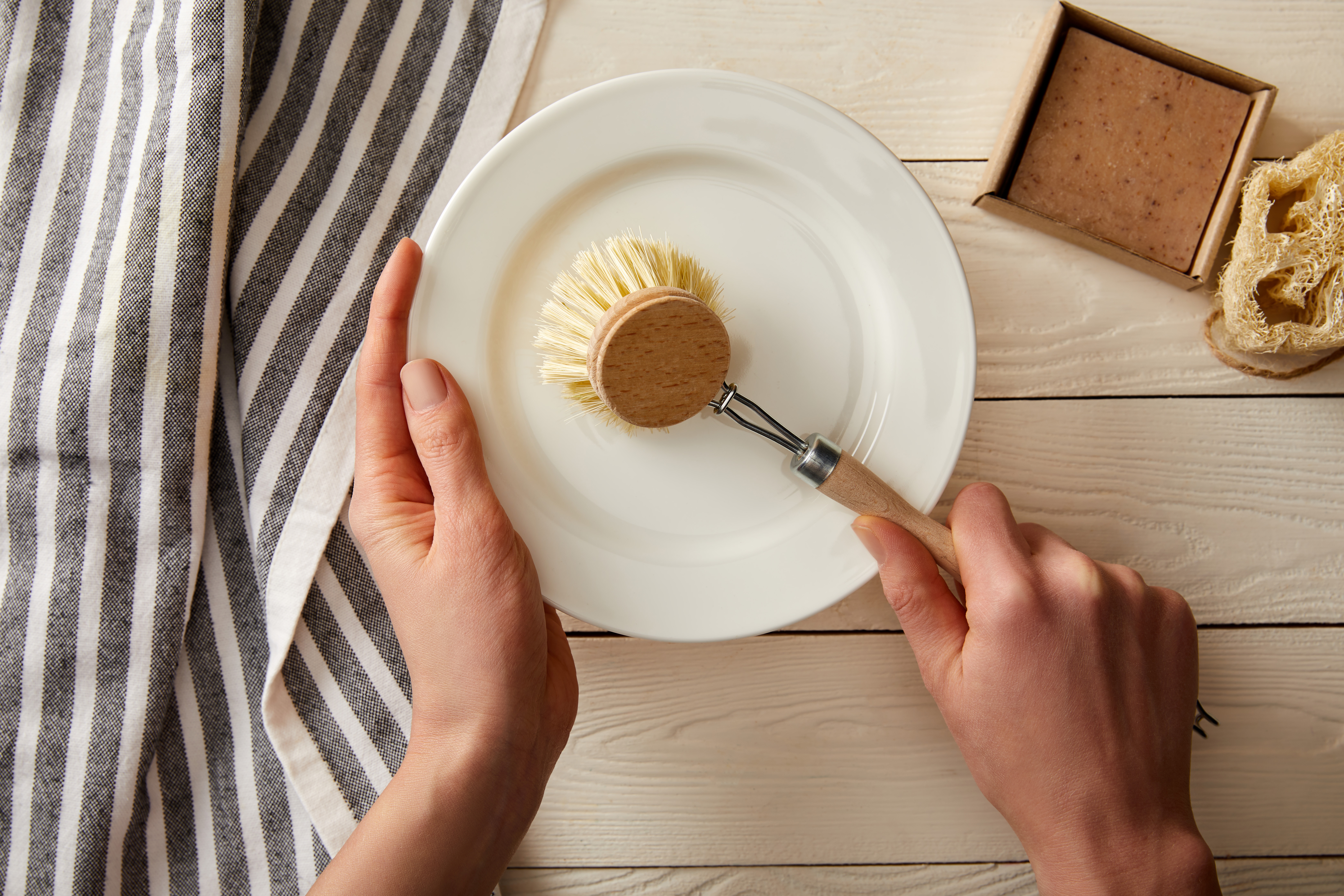 Internet Horrified by What Kitchen Brush Does When Lights Go Out