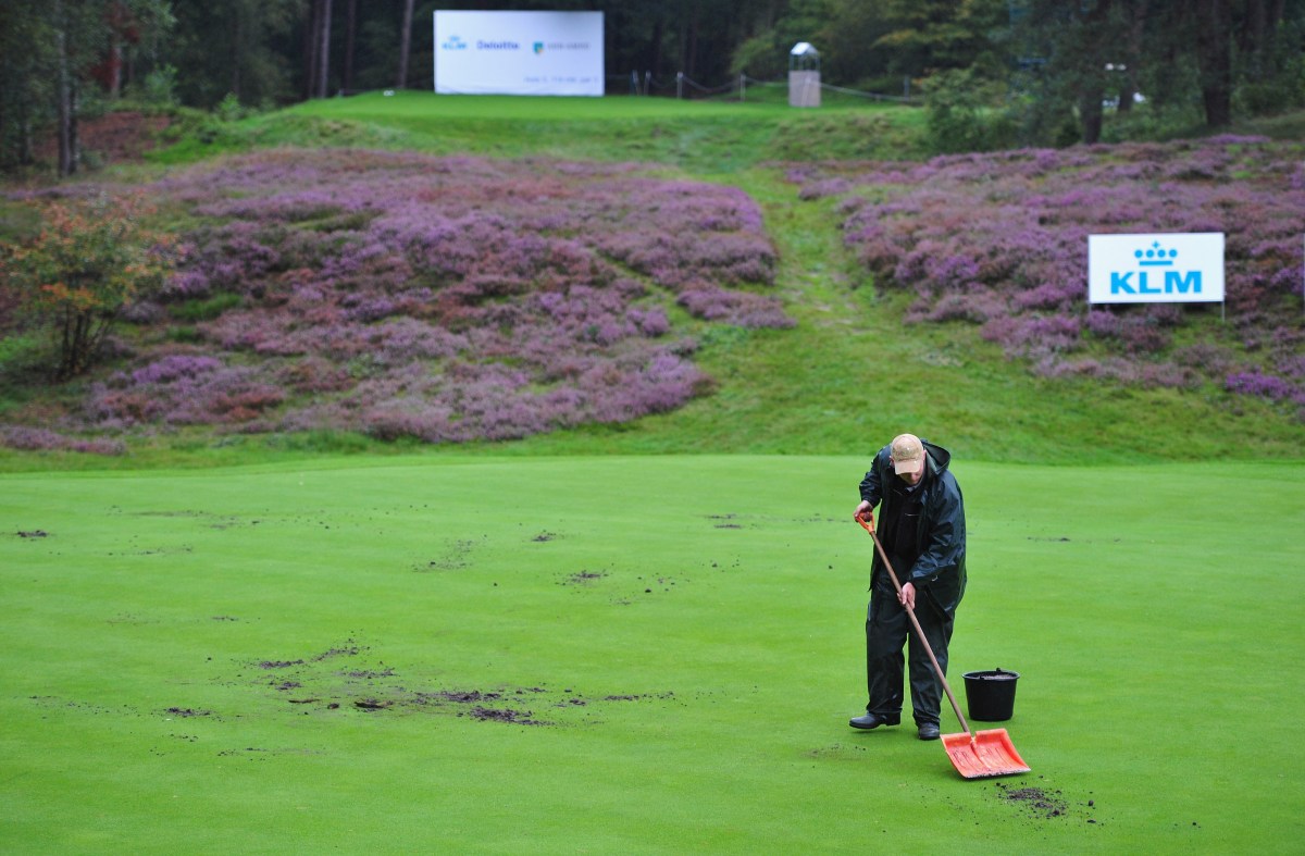Continuous vandalism sparks urgent plea from golf course official