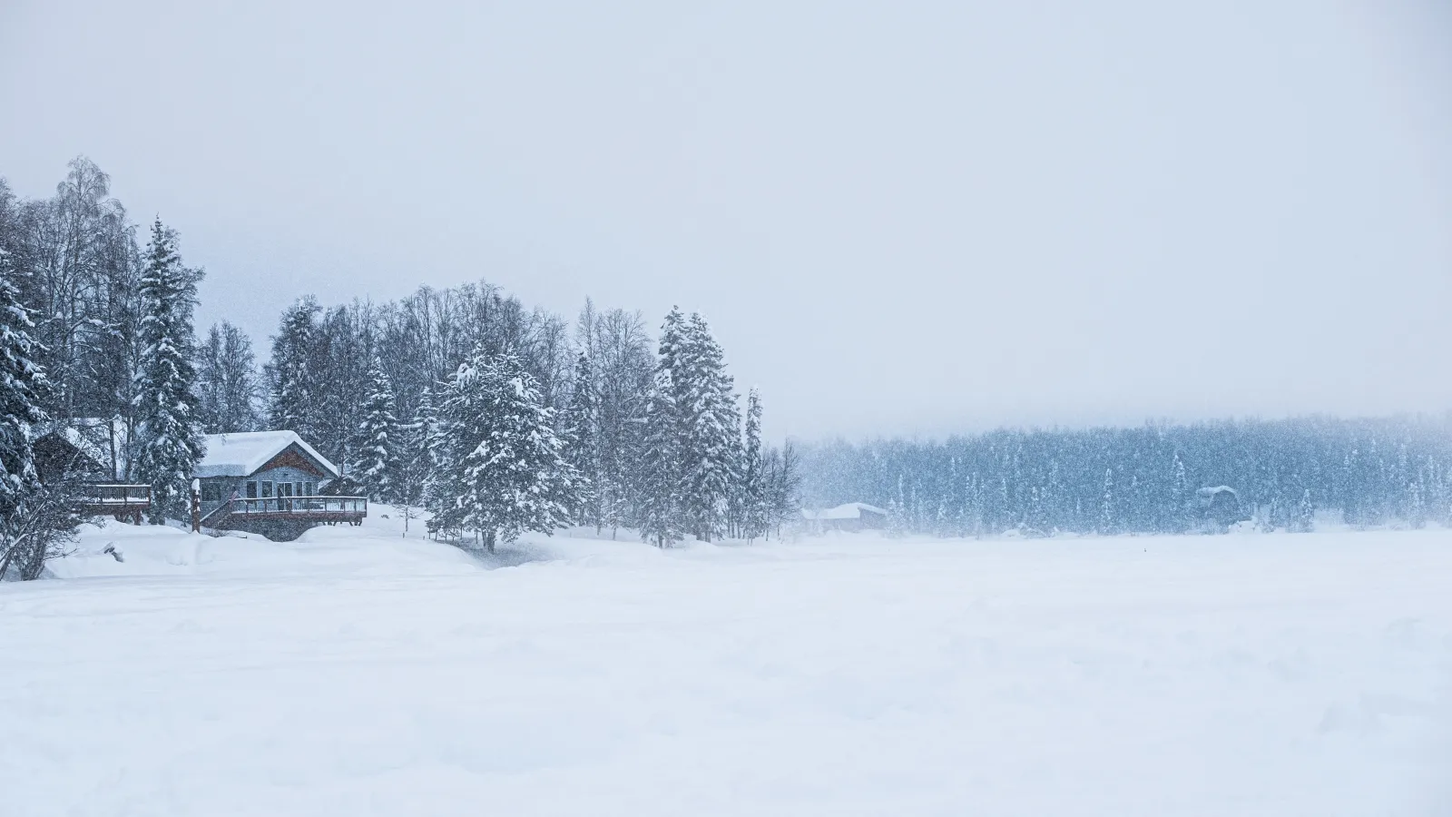 Winter Storm Warning As up to 12 Inches of Heavy Snow Forecast