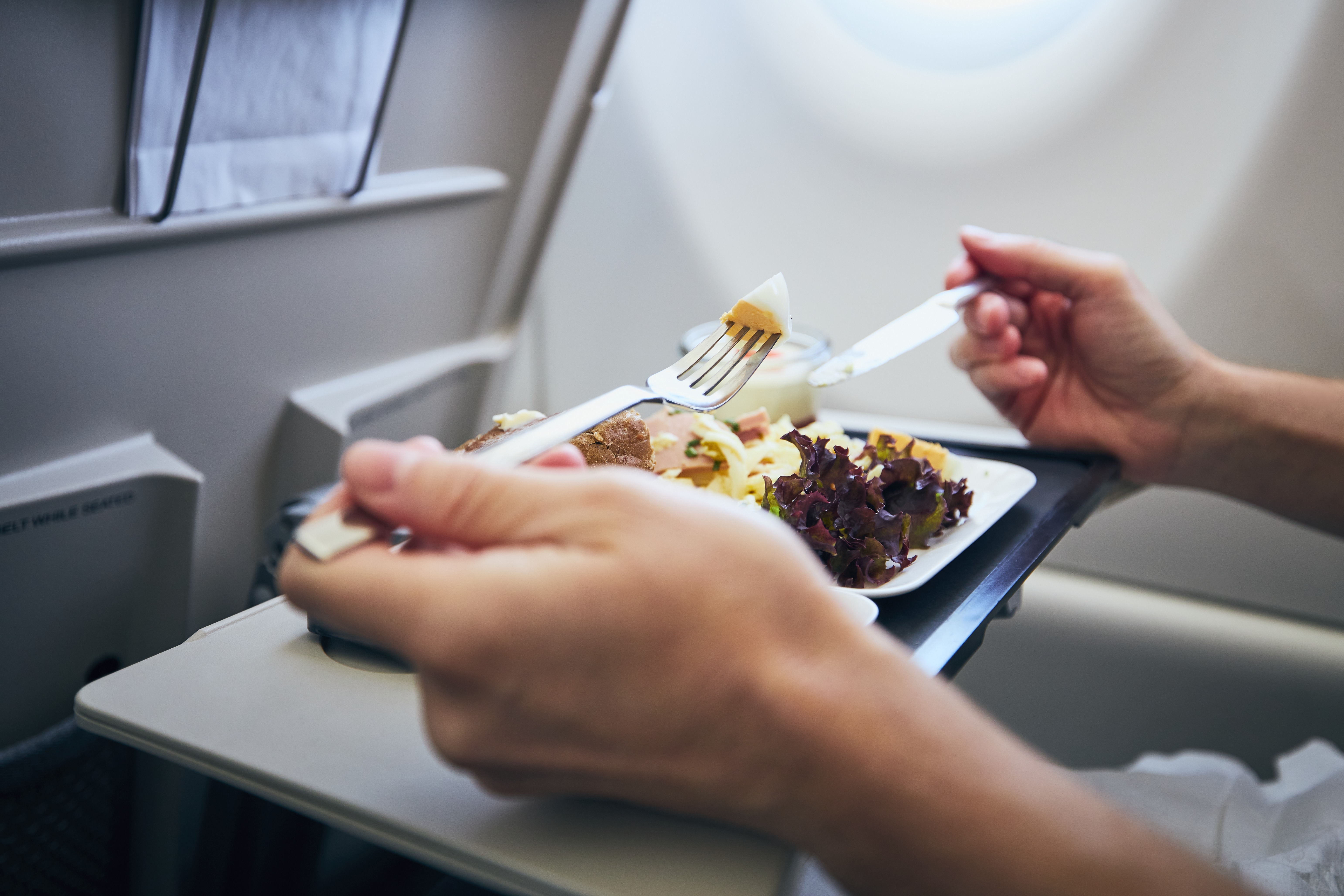 Woman on 16-Hour Flight Horrified by Passengers' Meal: ‘Bring Back Shame’