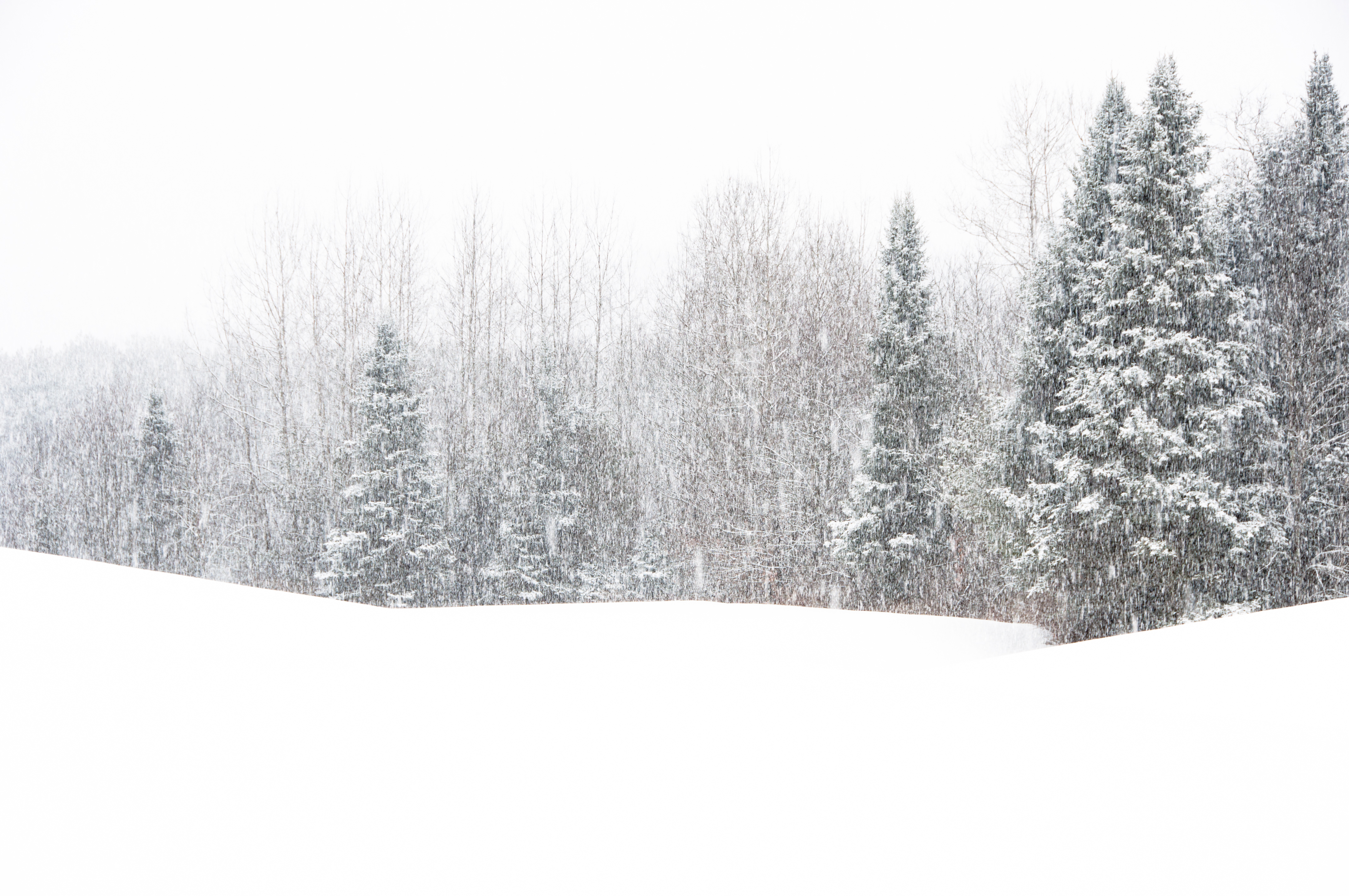 Winter Storm Warning as 16 Inches of Snow to Strike Northeast
