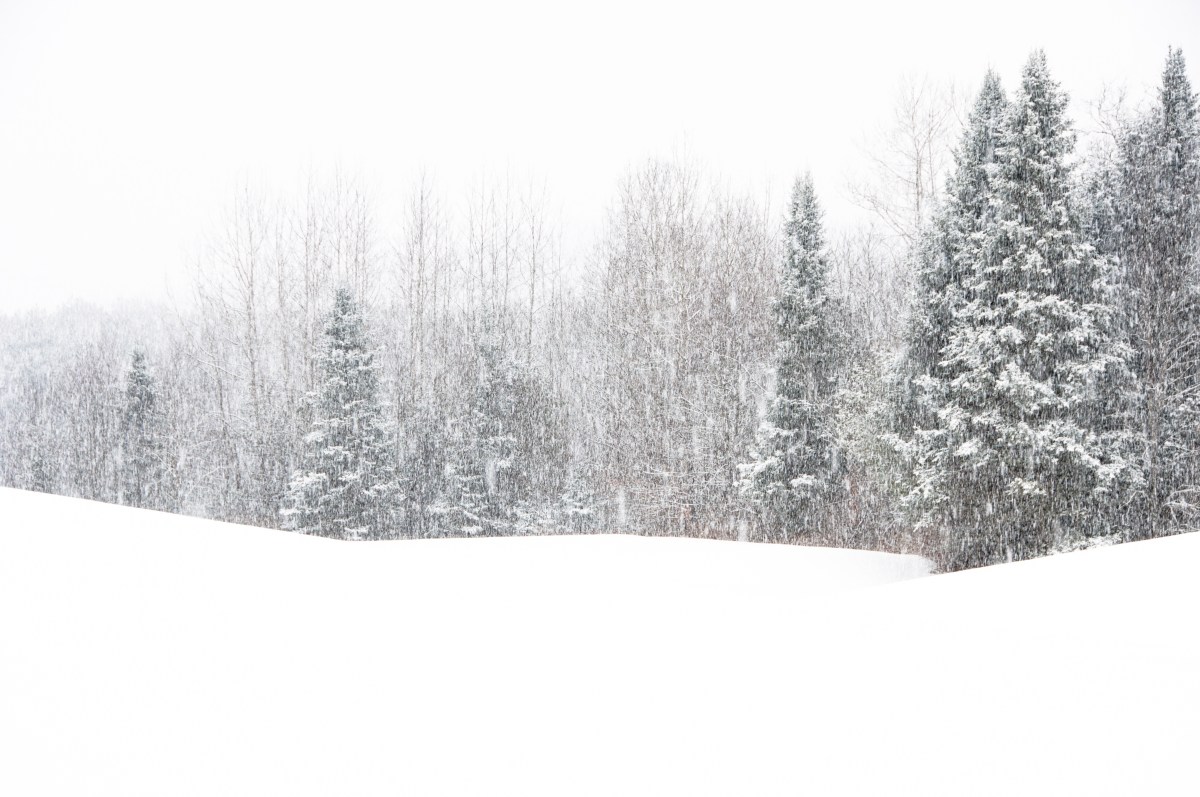 Winter Storm Warning as 16 Inches of Snow to Strike Northeast