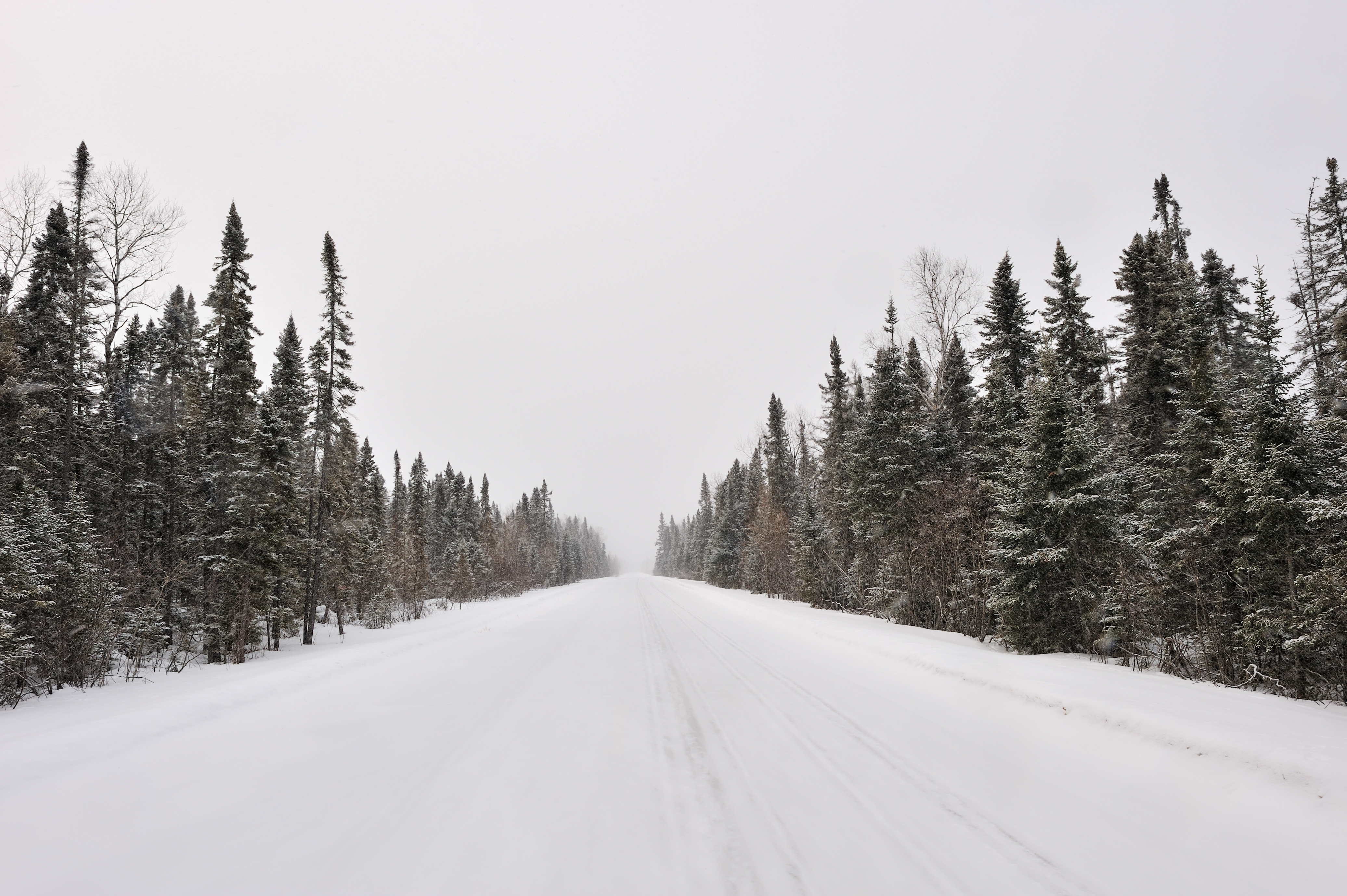 Winter Storm Alert Issued for Hundreds of Thousands as Heavy Snow to Hit