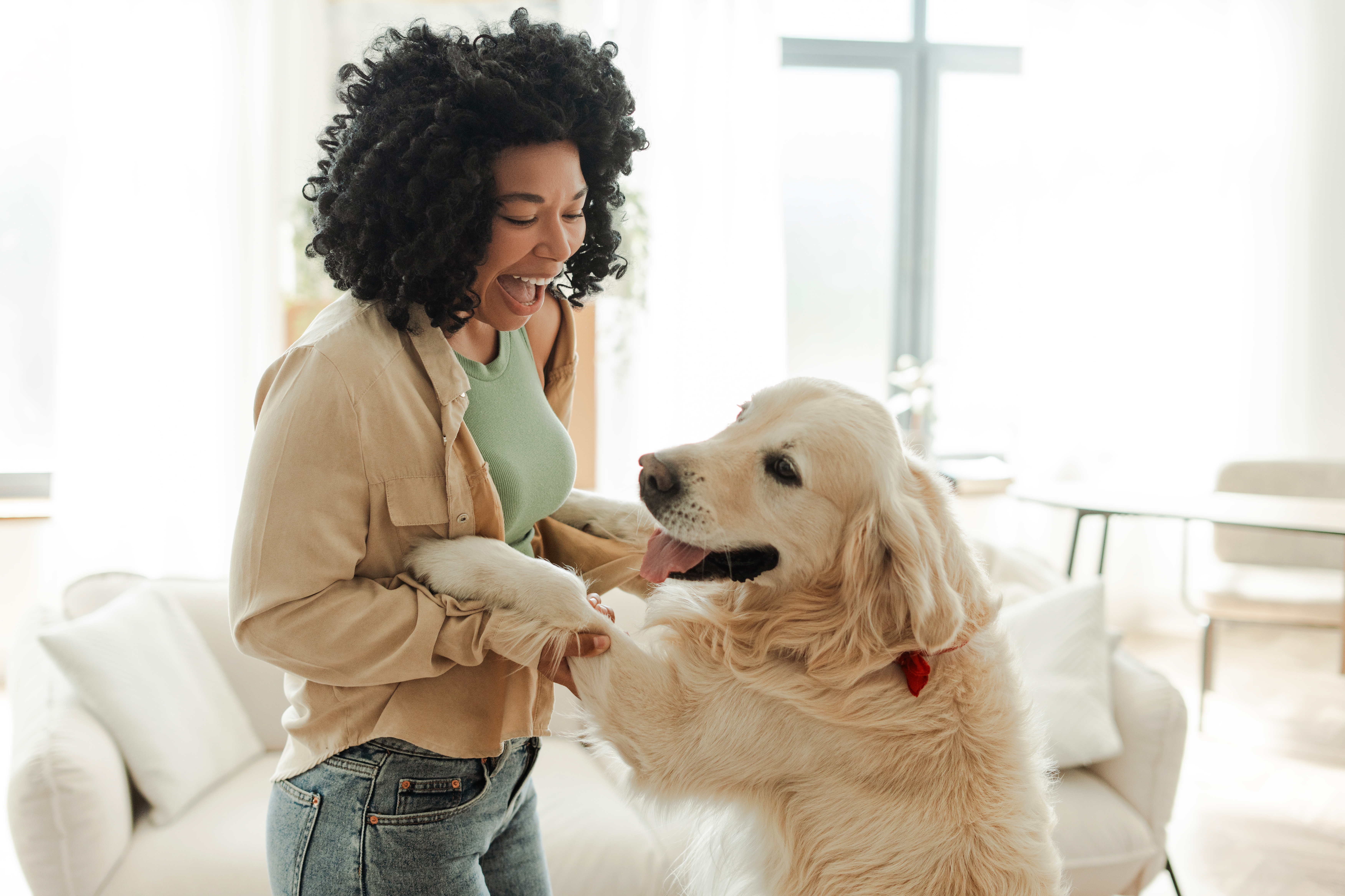 The Most Velcro Dog Breeds: 7 Pups That’ll Never Leave Your Side