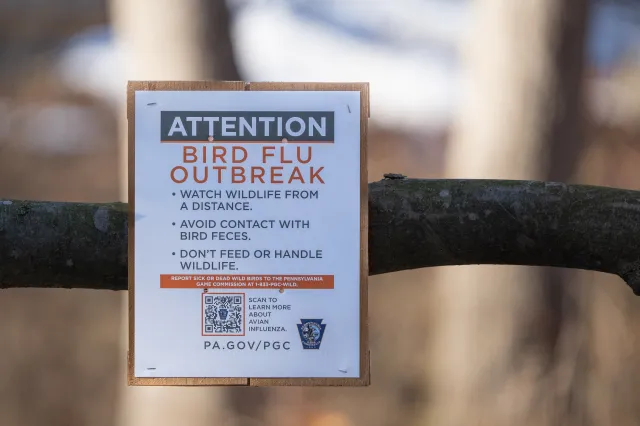 Washington Man Dies From First Case of Bird Flu Strain Reported in Humans