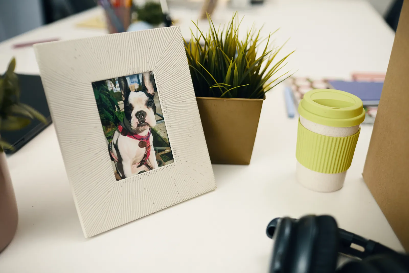 A stock image shows a dog picture framed on its owner’s work desk.

