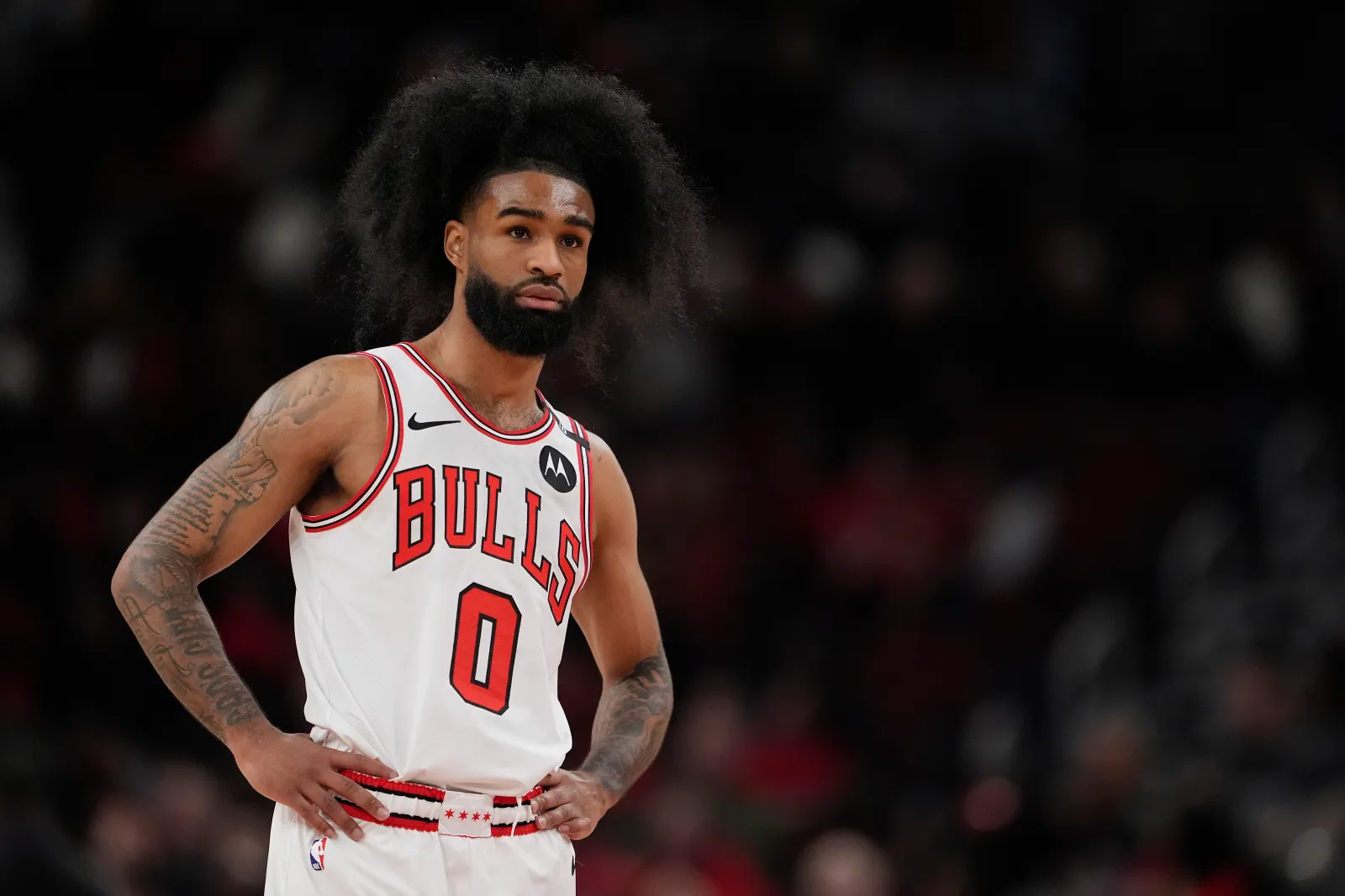 Chicago Bulls guard Coby White