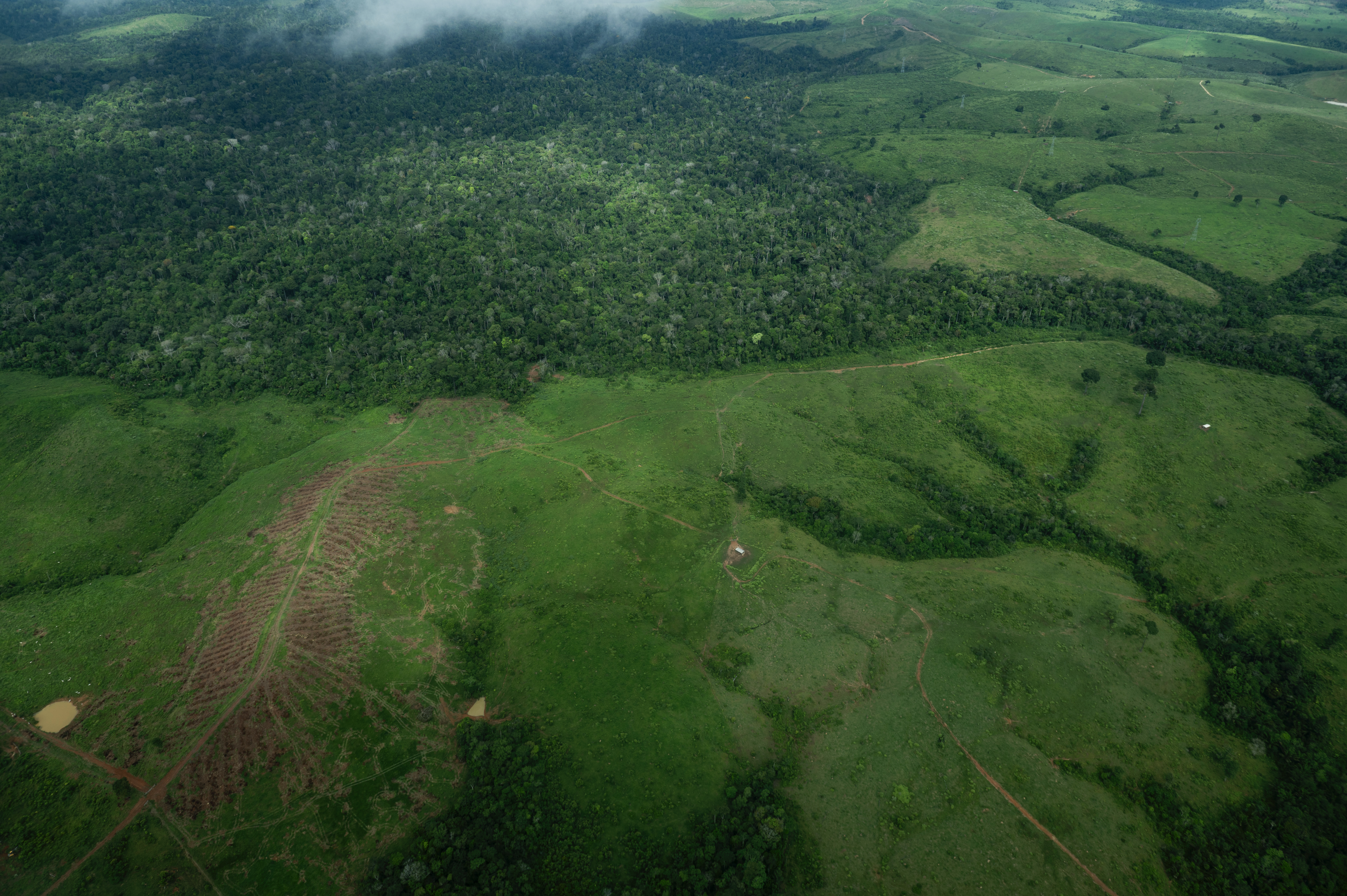 From California to the Amazon—Local Leaders Are Changing the Climate Game | Opinion