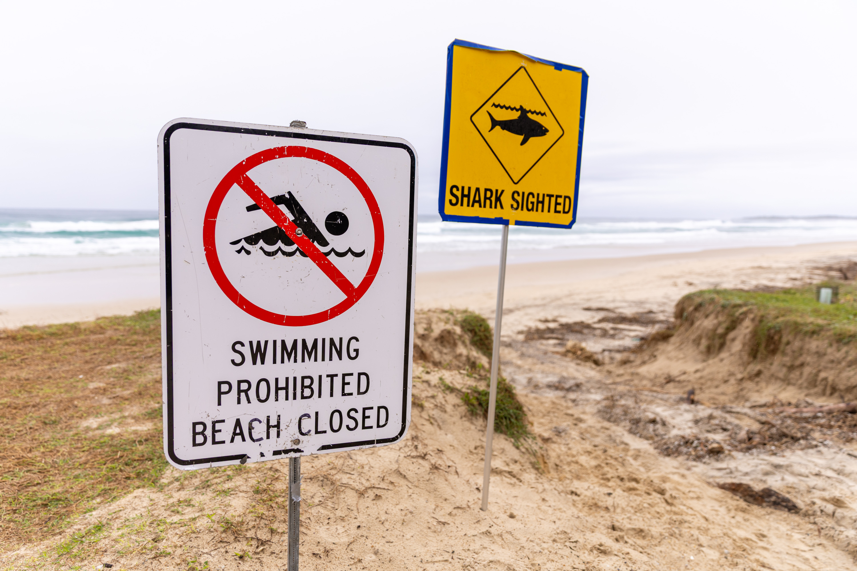 Woman Killed in 'Unusual' Shark Attack