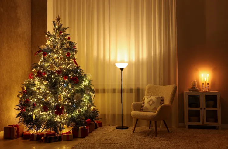 Woman’s Jaw-Dropping Christmas Tree Topper Goes Viral: ‘You Won’ - Newsweek