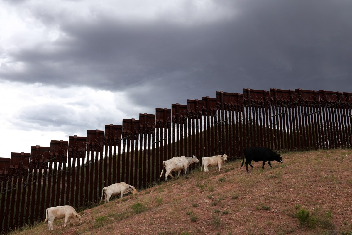 Administrador de Trump diz que preços da carne bovina podem chegar a US$ 10 o quilo por causa dos imigrantes