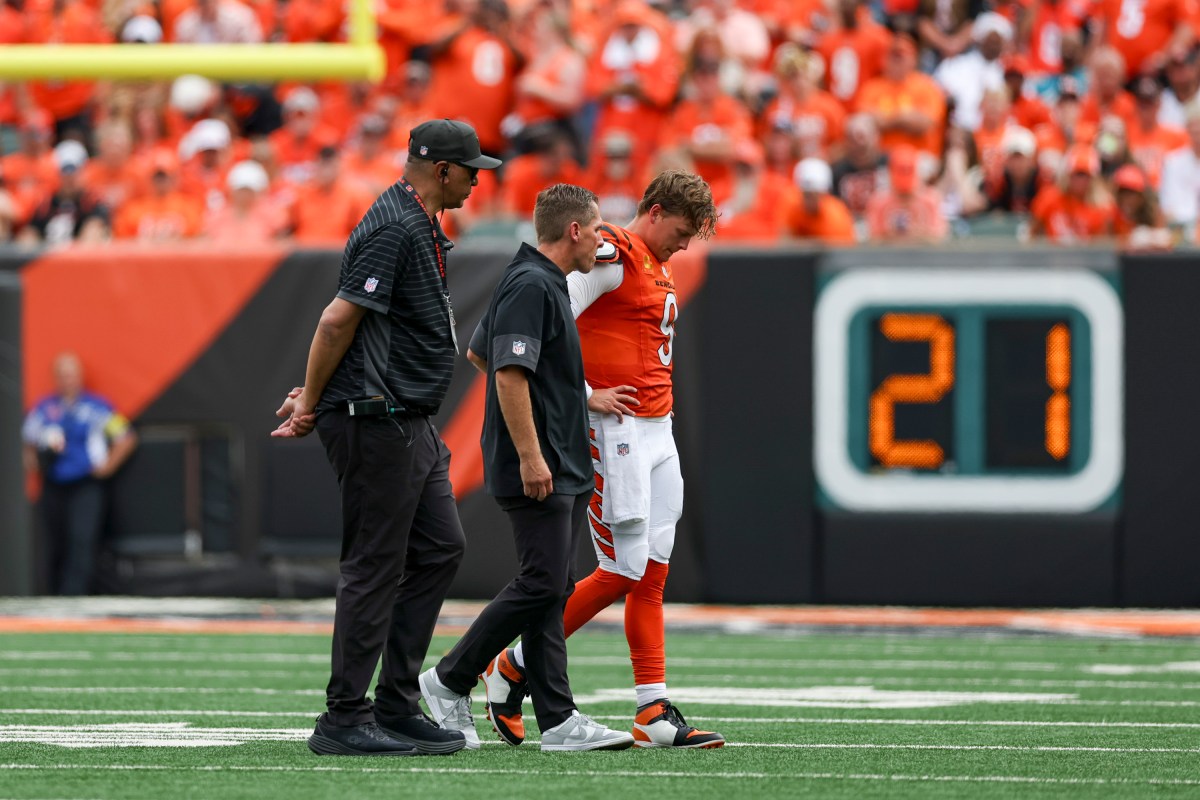 Bengals Suffer Unfortunate Travel Issue Before Ravens Game on Thanksgiving