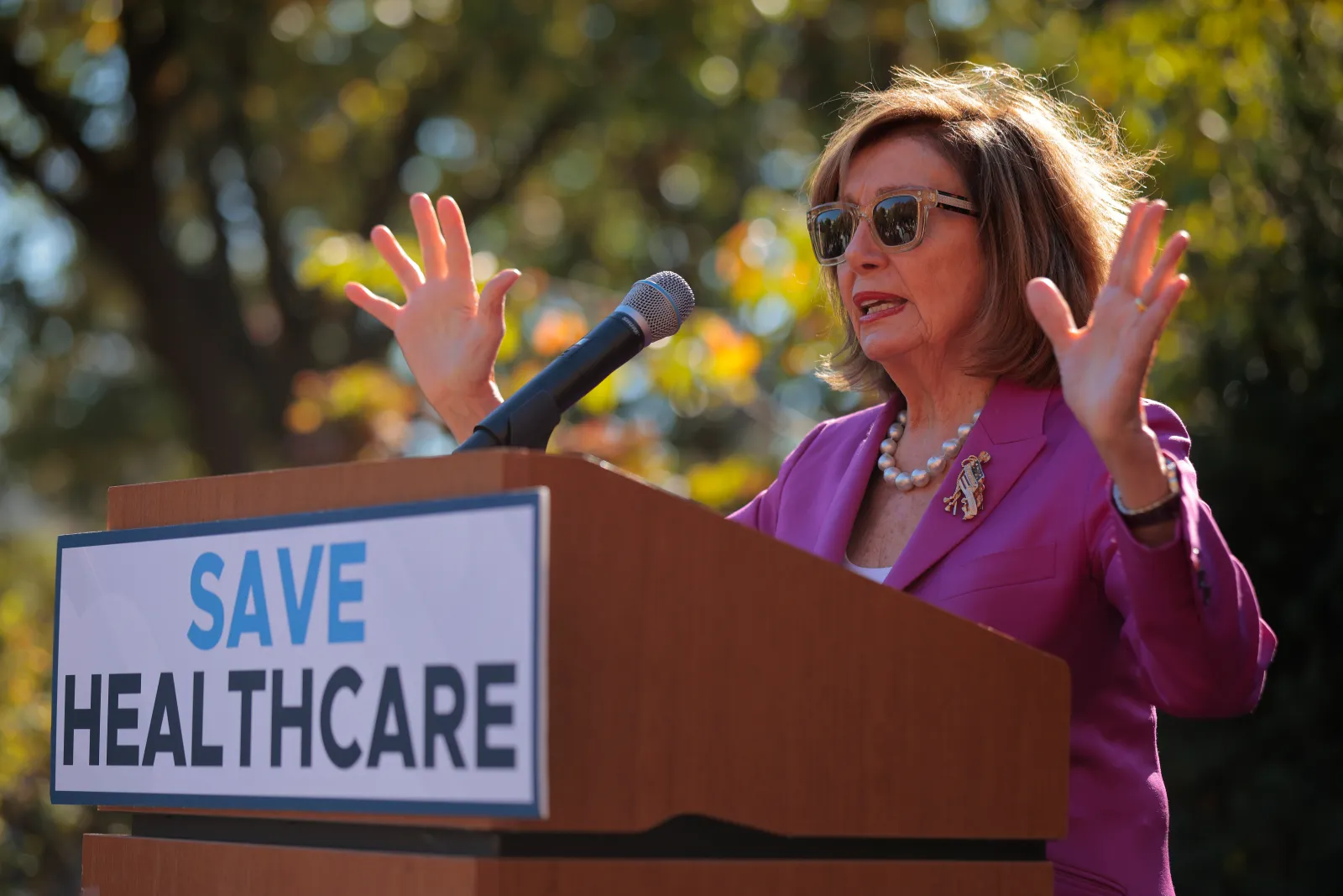 The Price of Power: Nancy Pelosi's Financial Journey in Congress