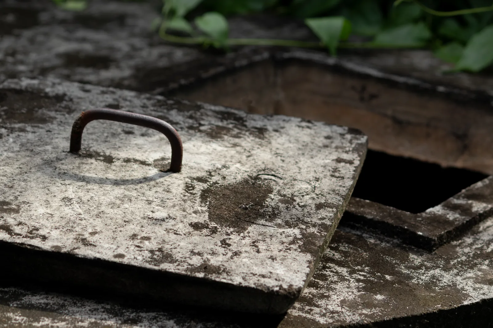 House from 1920s Goes Up for Sale—Buyers Stunned by Where Secret Door Leads