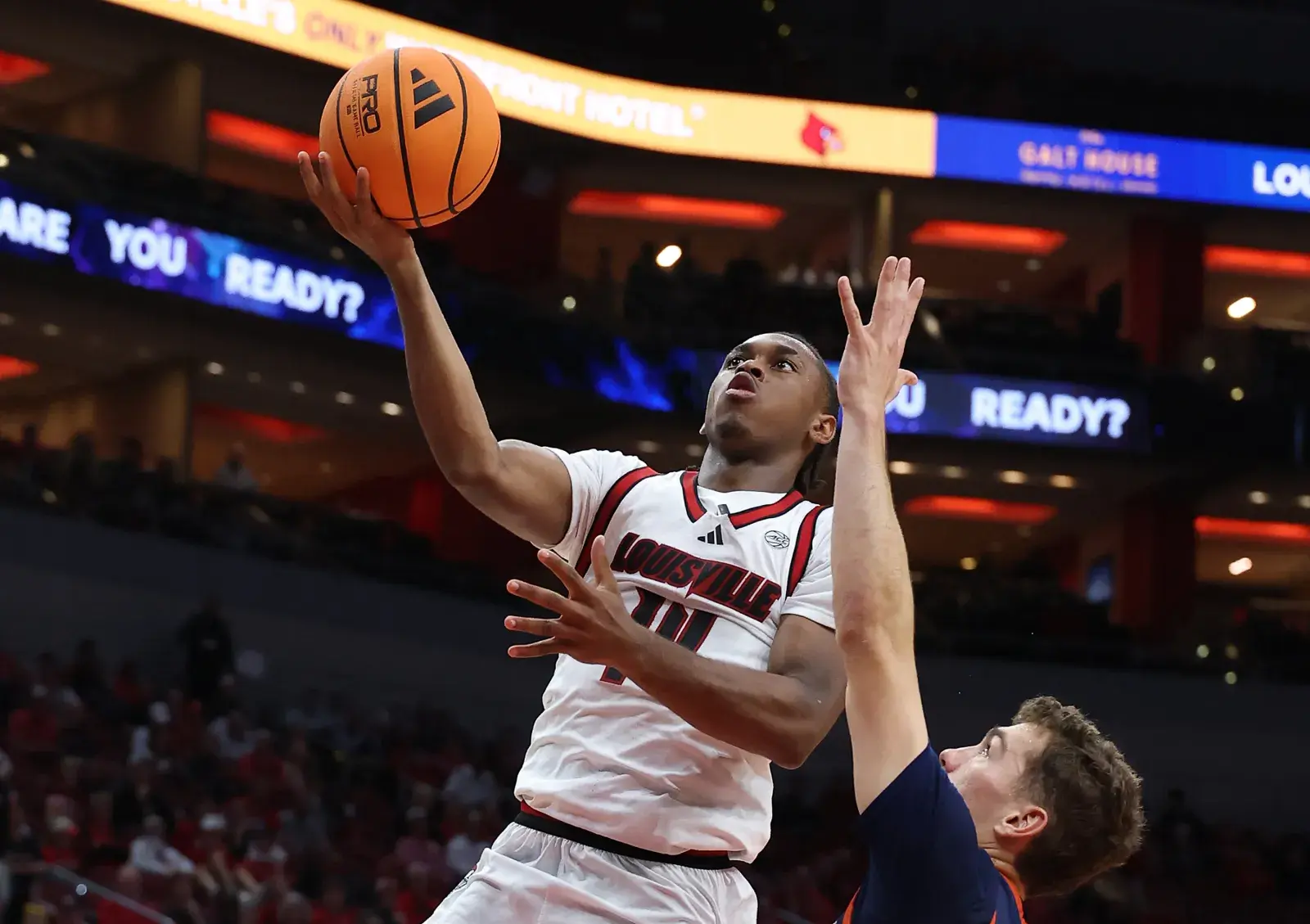 How to Watch South Carolina State vs Louisville: Live Stream NCAA College Basketball, TV Channel