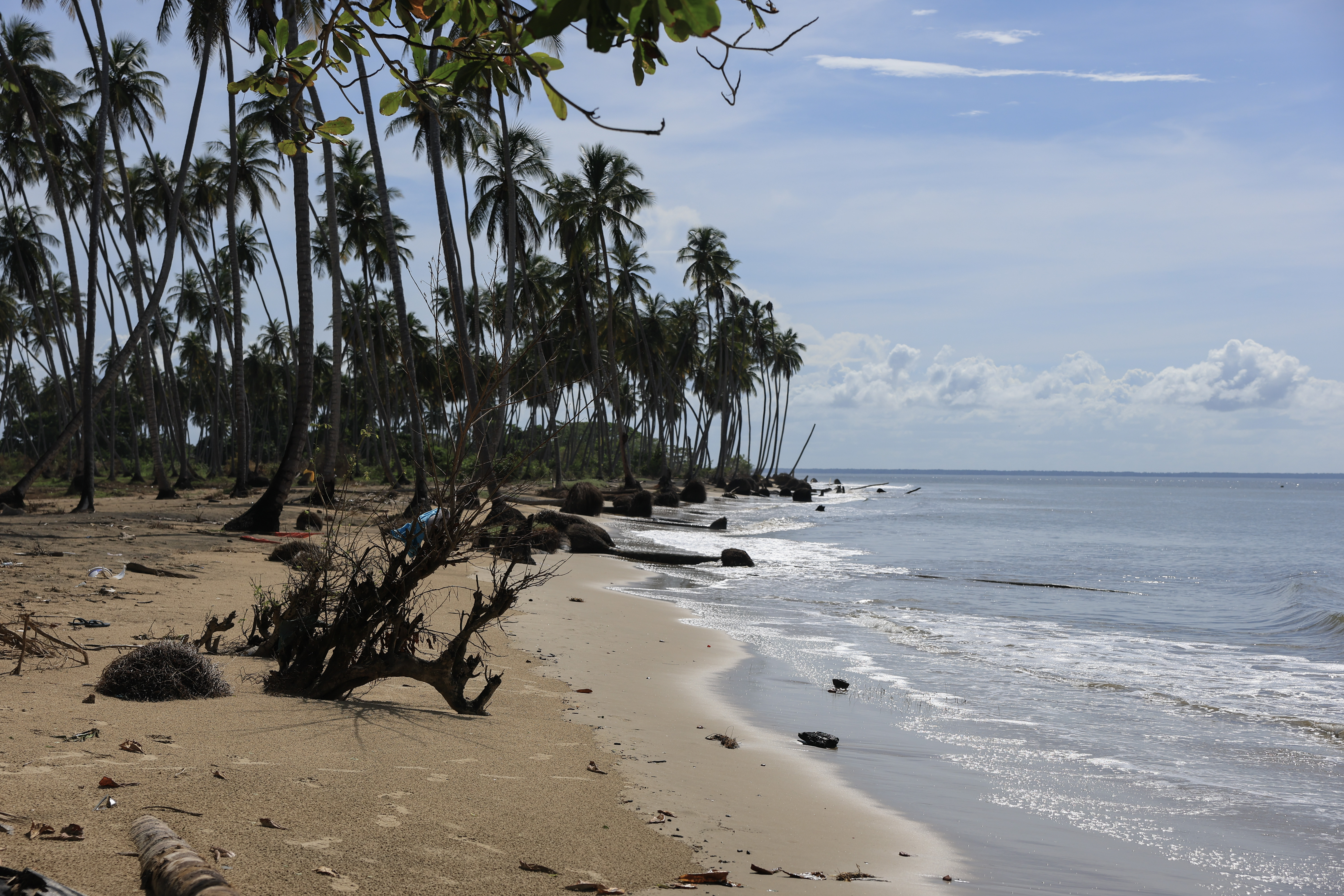 Suspect In Custody For American's Murder in Tobago: Police