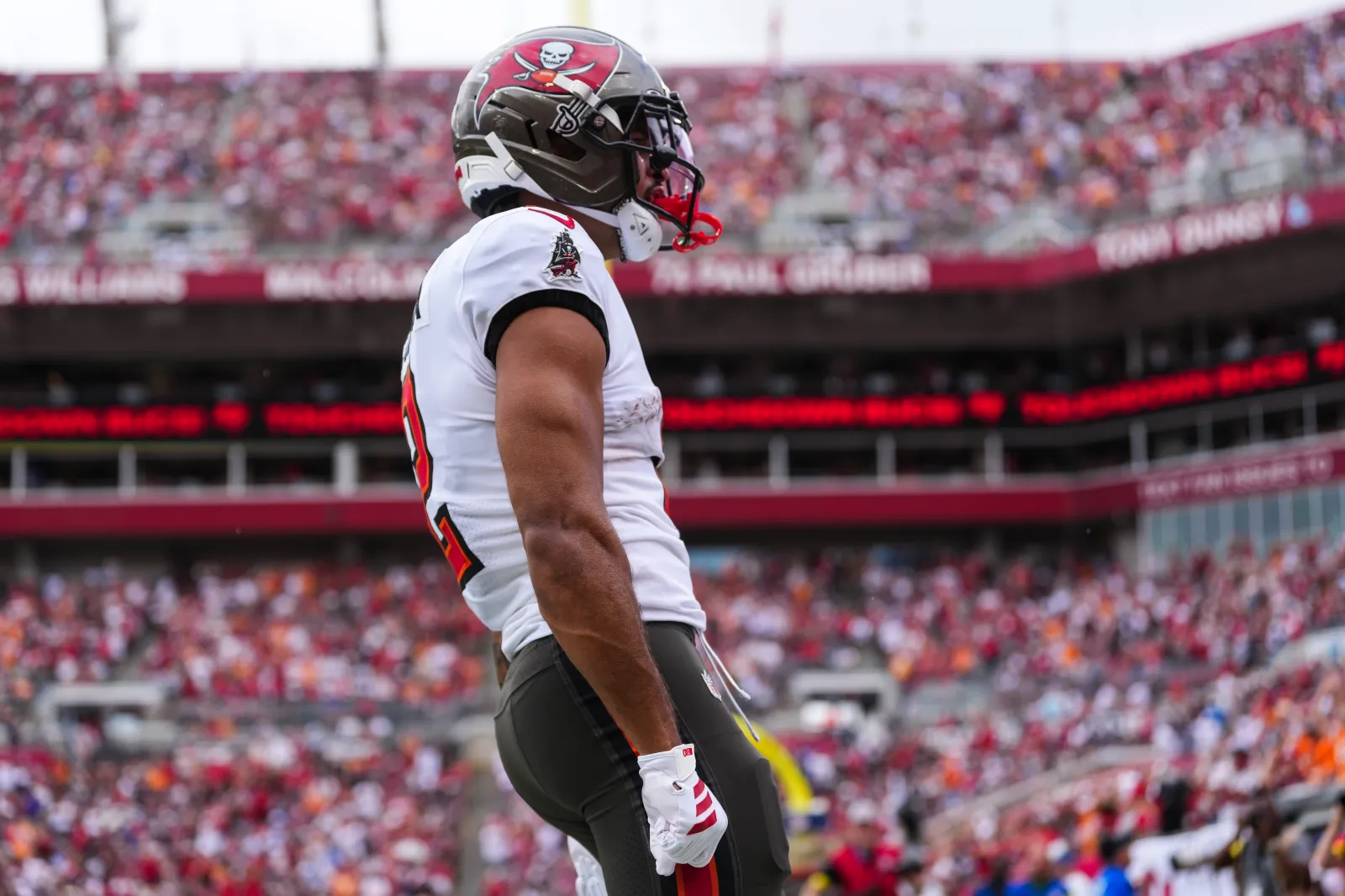 How to Watch Cardinals vs Buccaneers: Live Stream NFL, TV Channel